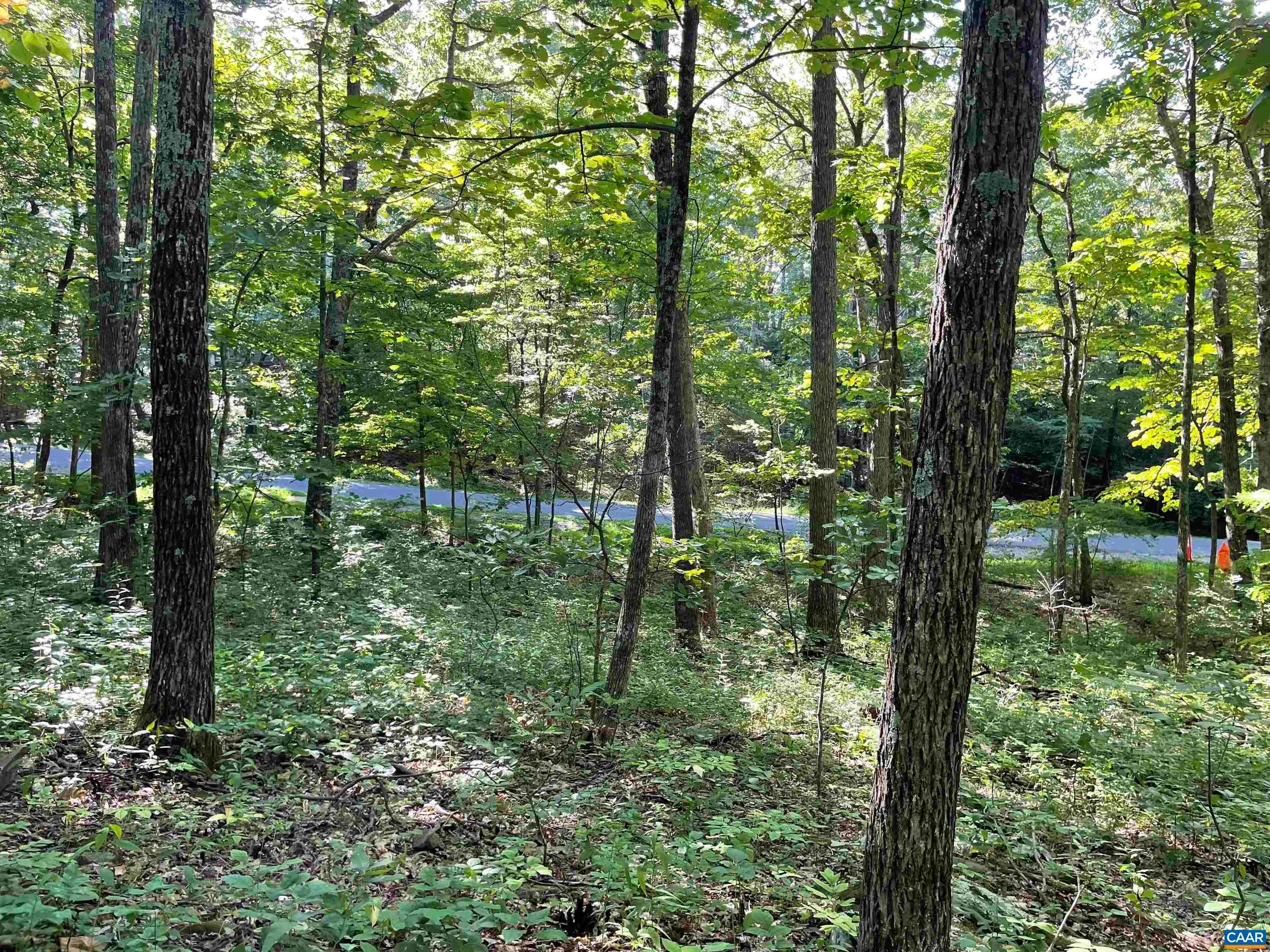 8. Land for Sale at Lot 94 GUMTREE Drive Roseland, Virginia 22967 United States