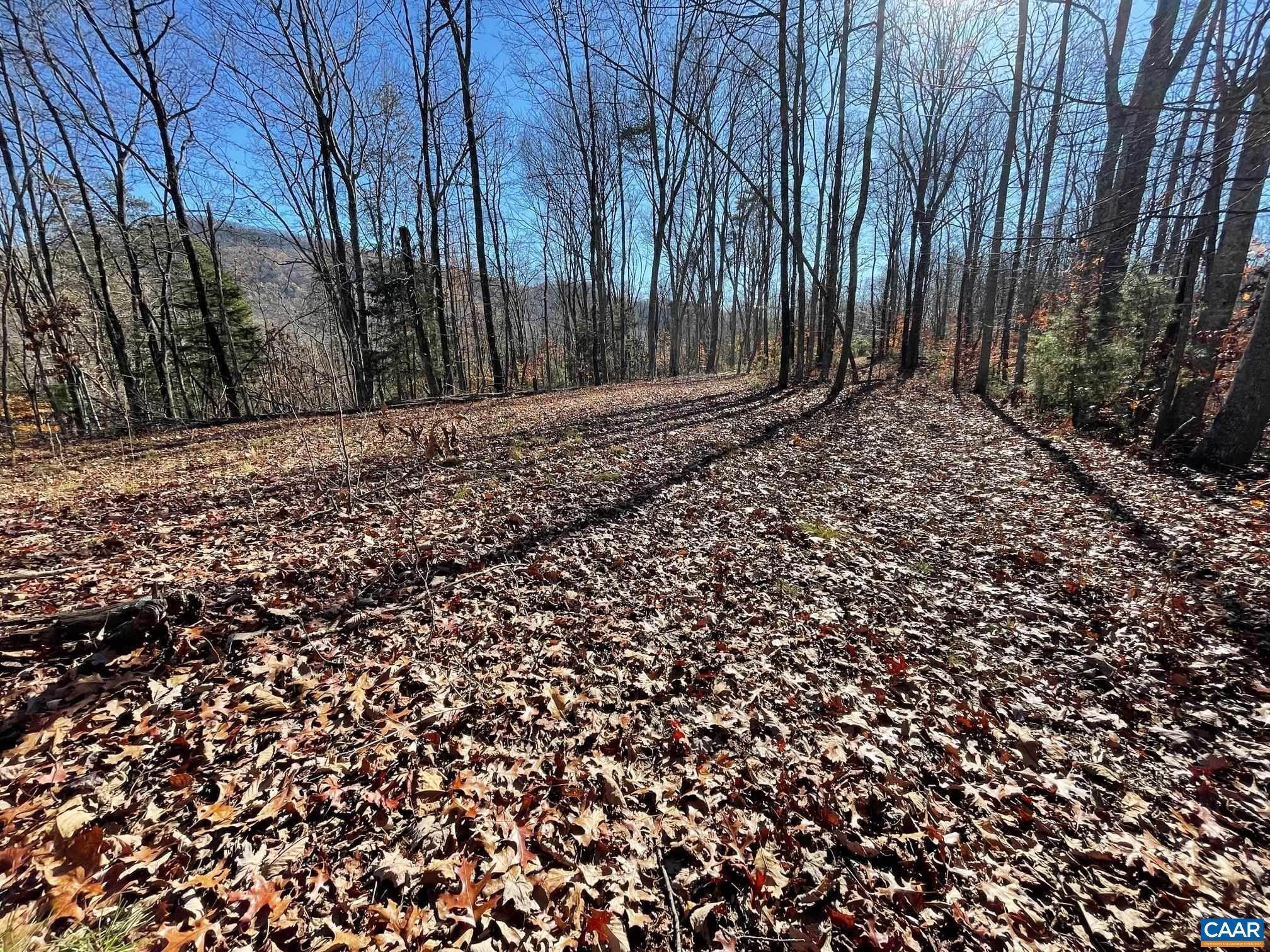 Land for Sale at Lot 4 PINE Trail Lovingston, Virginia 22949 United States