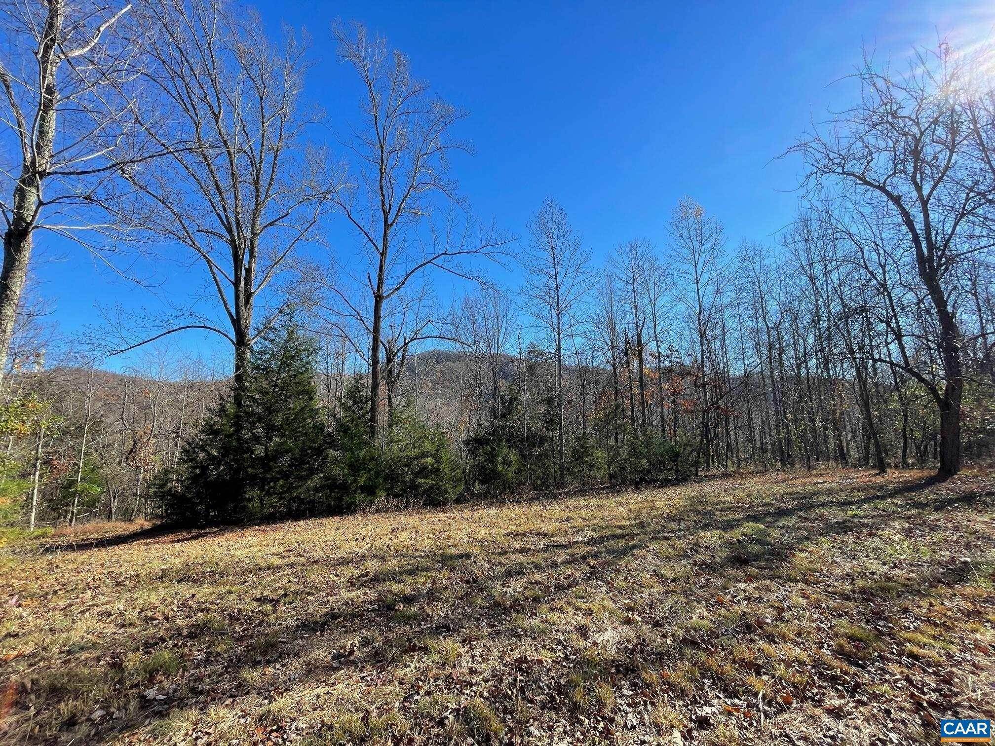 12. Land for Sale at Lot 3 PINE Trail Lovingston, Virginia 22949 United States