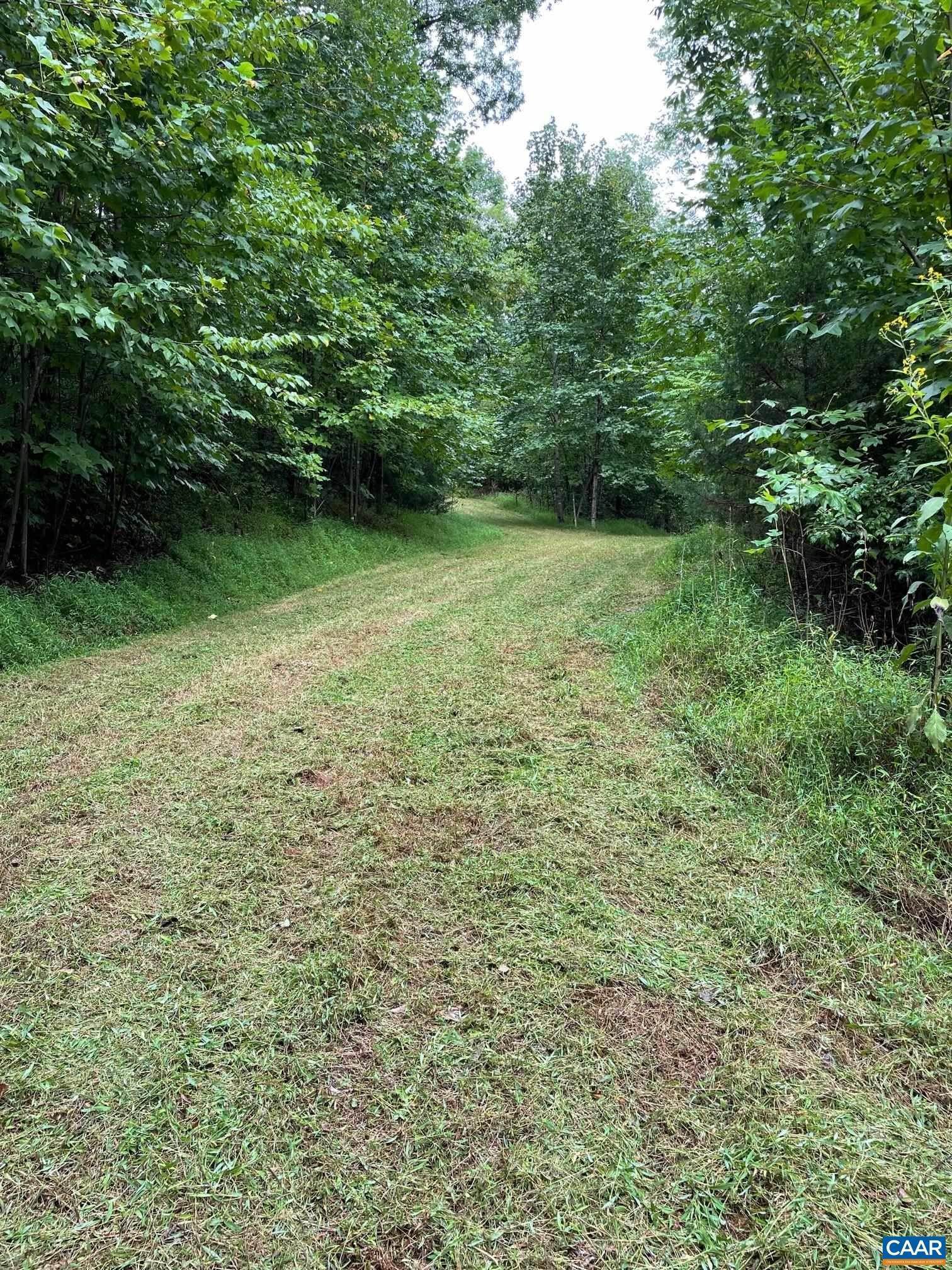 3. Land for Sale at Lot 3 PINE Trail Lovingston, Virginia 22949 United States