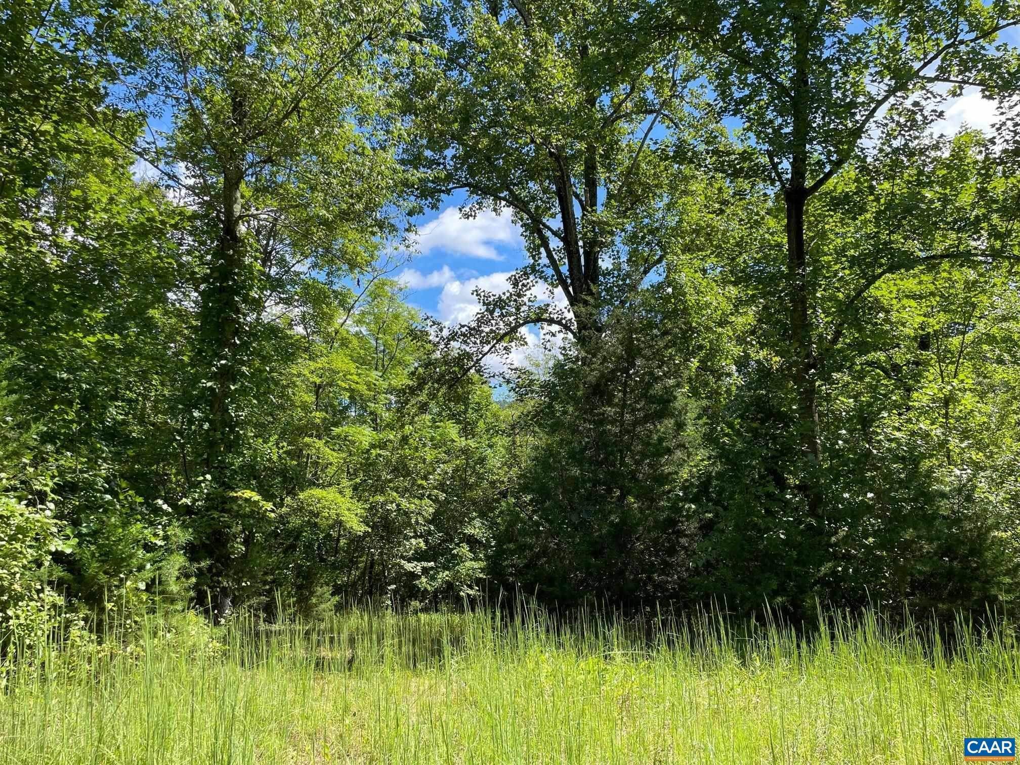 20. Land for Sale at Lot 3 PINE Trail Lovingston, Virginia 22949 United States