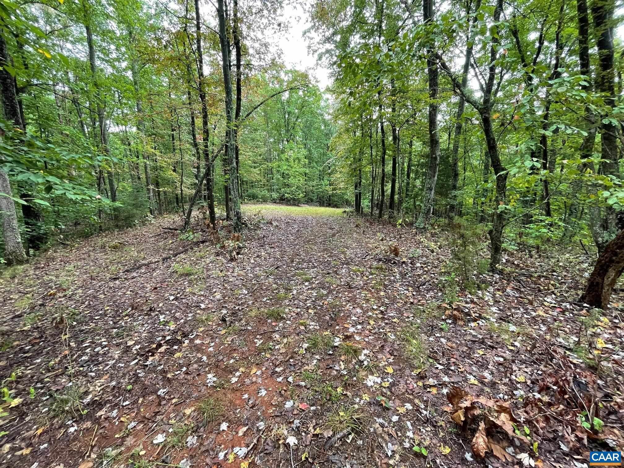 27. Land for Sale at Lot 3 PINE Trail Lovingston, Virginia 22949 United States