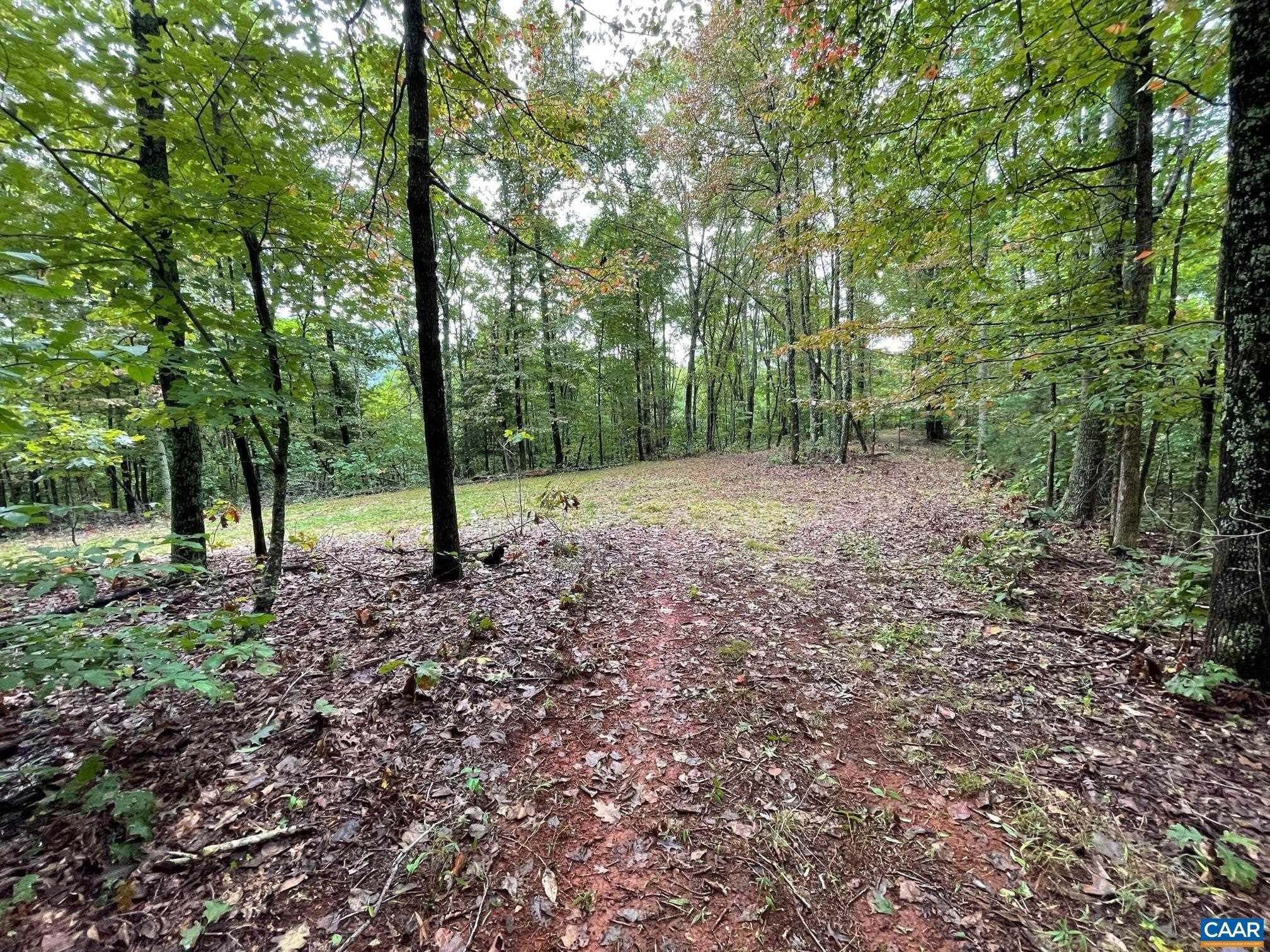 7. Land for Sale at Lot 3 PINE Trail Lovingston, Virginia 22949 United States