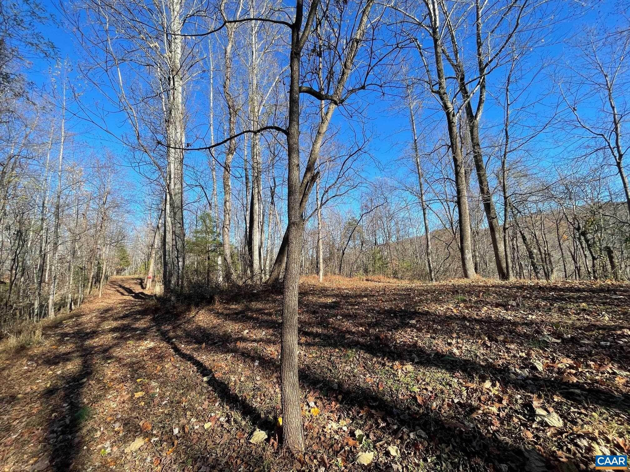 5. Land for Sale at Lot 2 PINE Trail Lovingston, Virginia 22949 United States