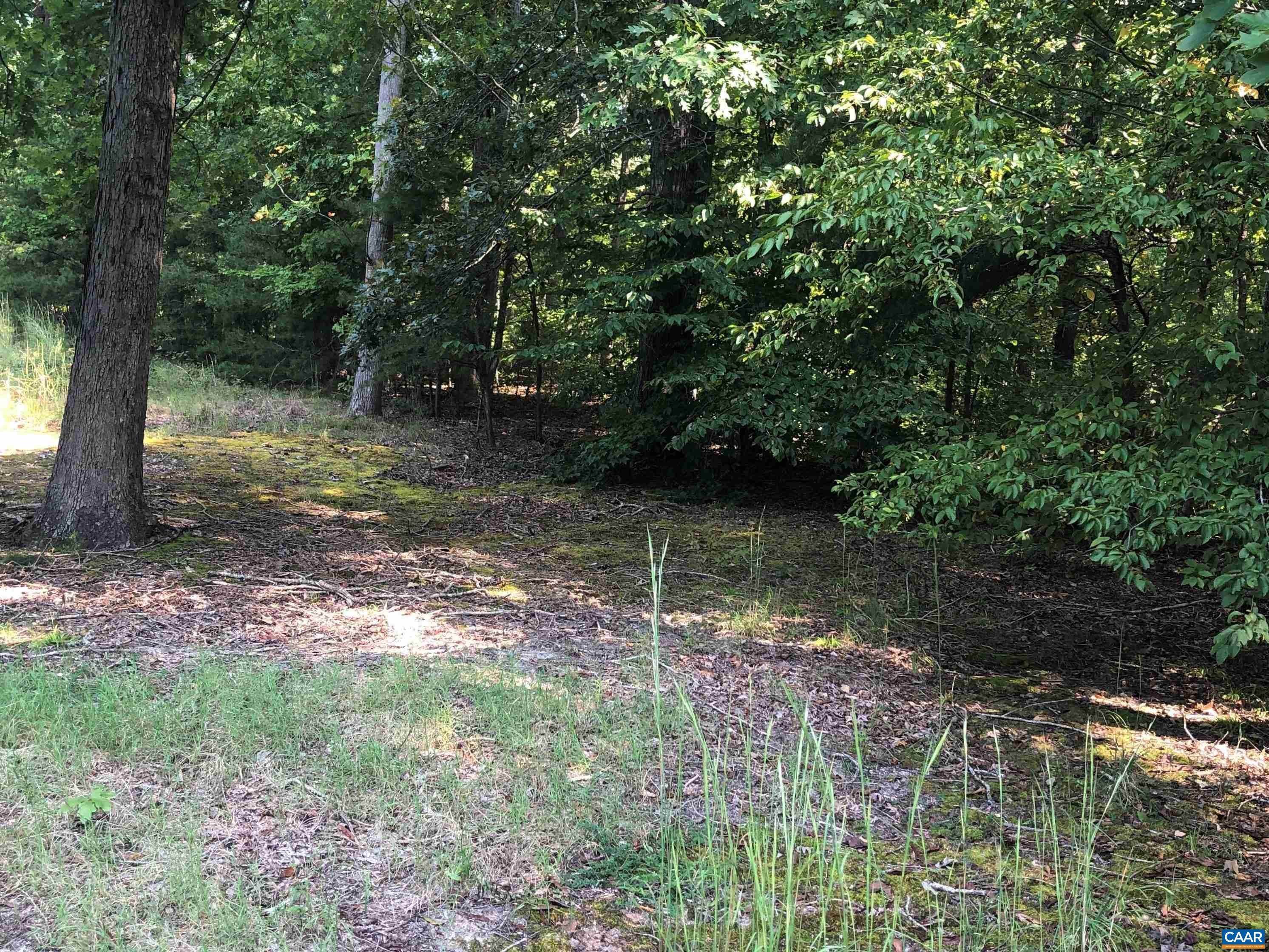 14. Land for Sale at ROYAL VIRGINIA PKWY Louisa, Virginia 23093 United States