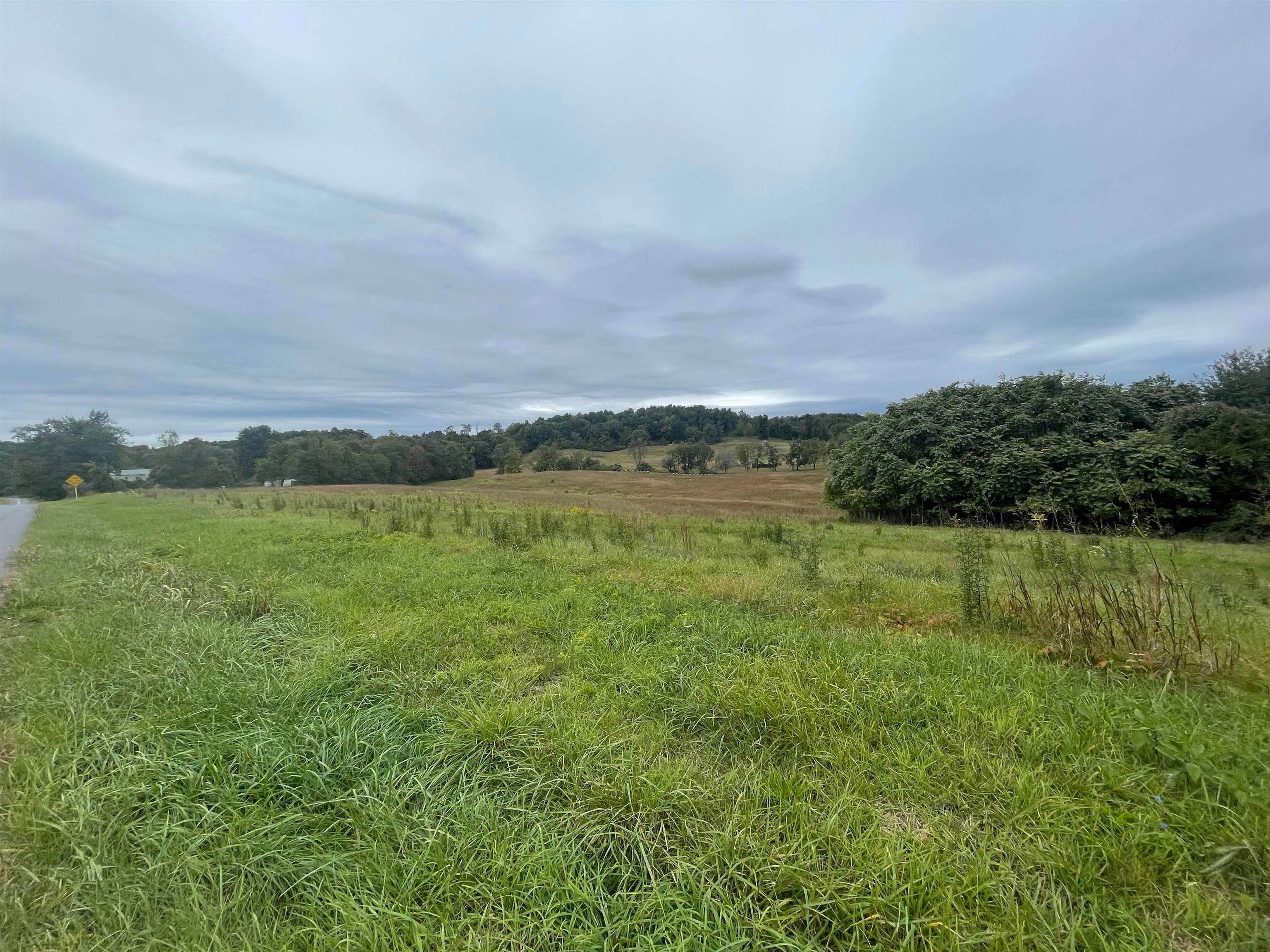 Land for Sale at OAKLAND Circle Raphine, Virginia 24472 United States