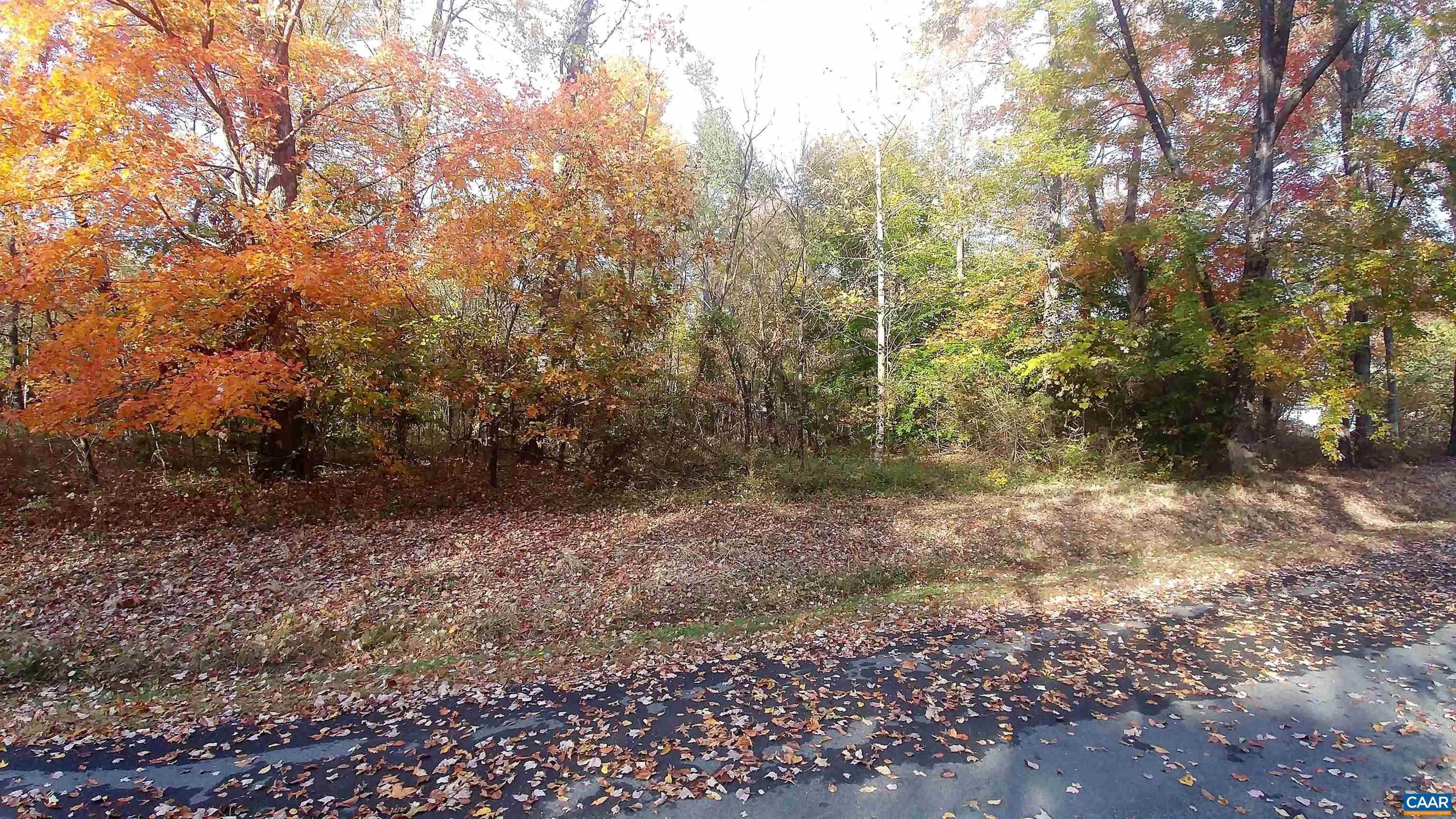 1. Land for Sale at B 10 HIGH VIEW Lane Nellysford, Virginia 22958 United States