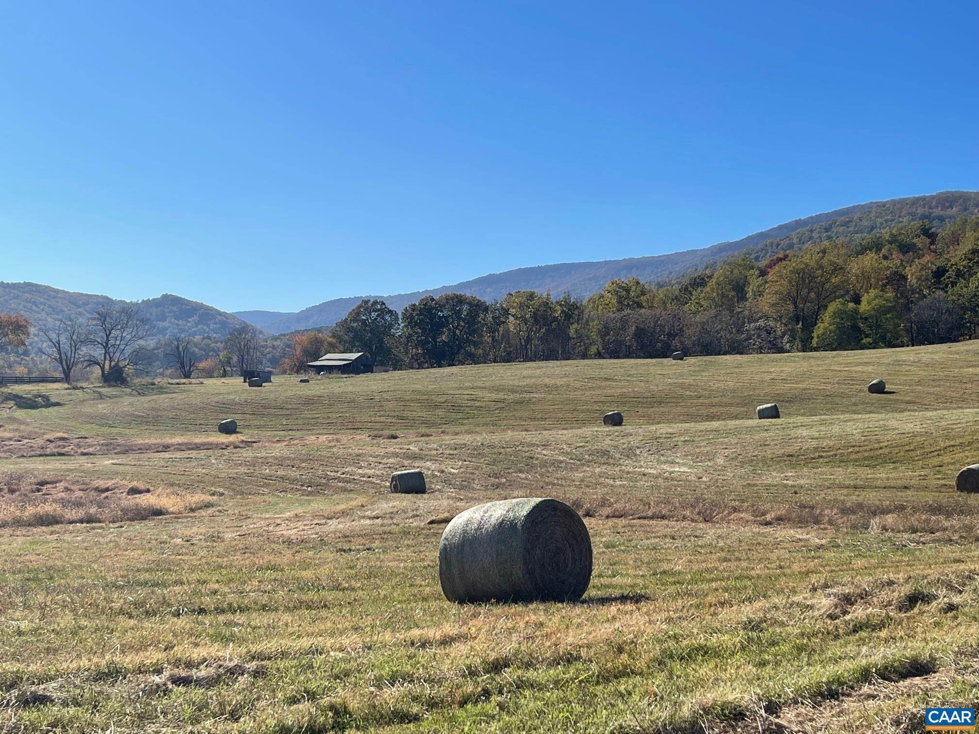 20. Land for Sale at WHITE HALL Road Crozet, Virginia 22932 United States