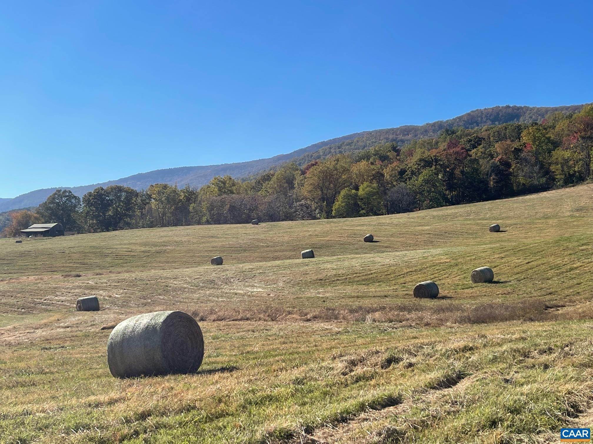 6. Land for Sale at WHITE HALL Road Crozet, Virginia 22932 United States
