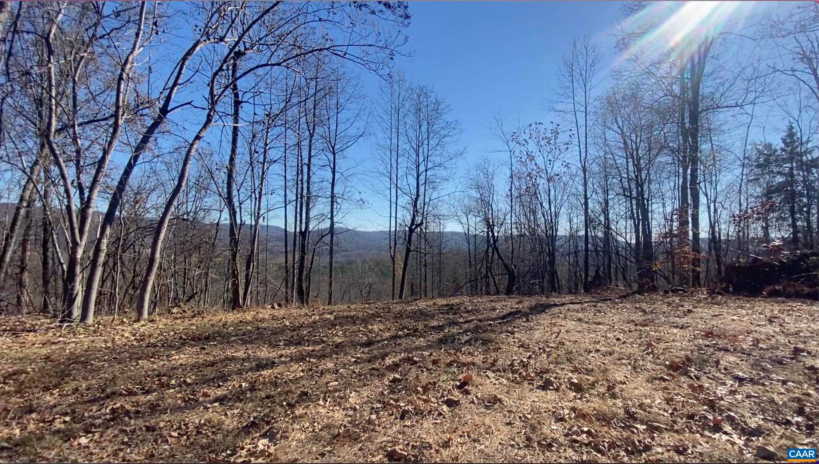 Land for Sale at TBD THOMAS NELSON HWY Faber, Virginia 22938 United States