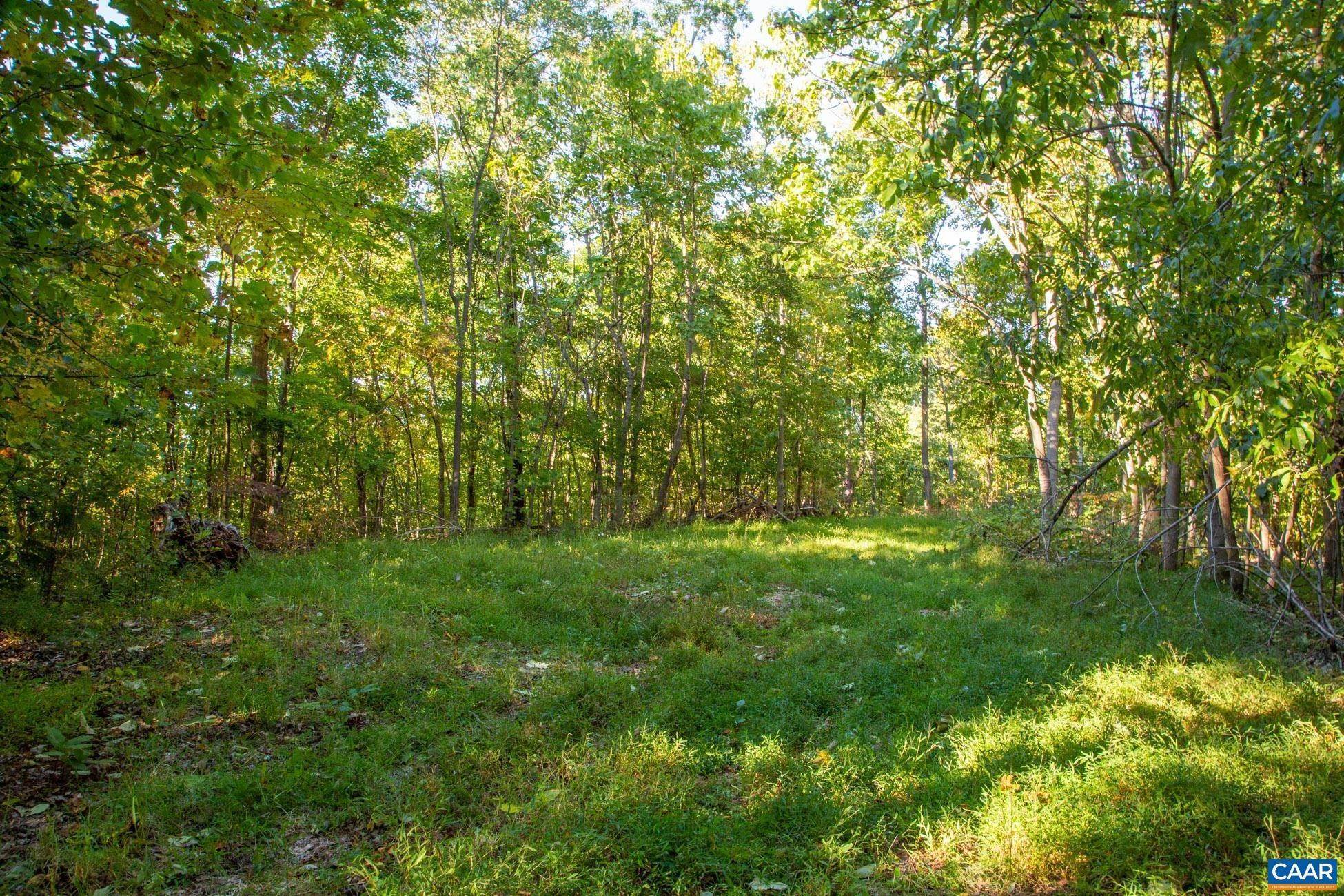 5. Land for Sale at TBD THOMAS NELSON HWY Faber, Virginia 22938 United States