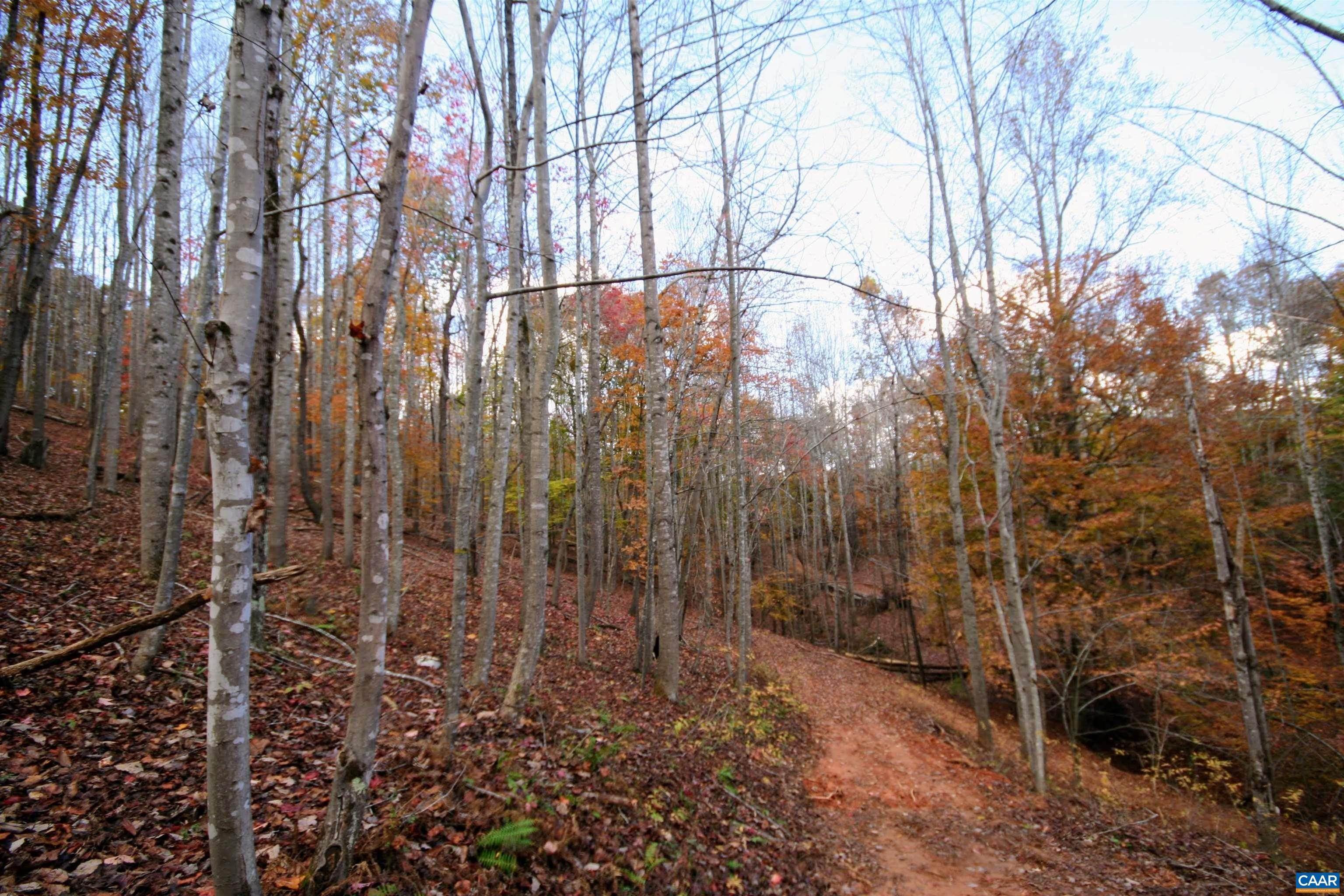 29. Land for Sale at TBA 0 HANCOCK HILL Road Scottsville, Virginia 24590 United States