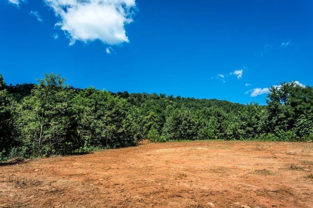 2. Land for Sale at Lot 1 GREEN CREEK Road Schuyler, Virginia 22969 United States