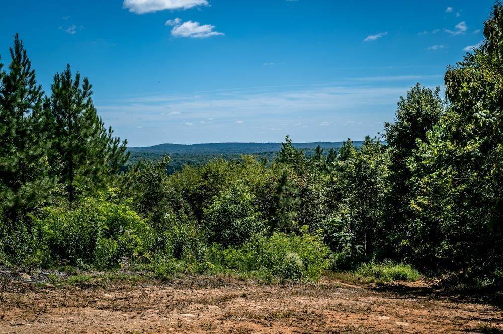 Land for Sale at Lot 2 GREEN CREEK Road Schuyler, Virginia 22969 United States