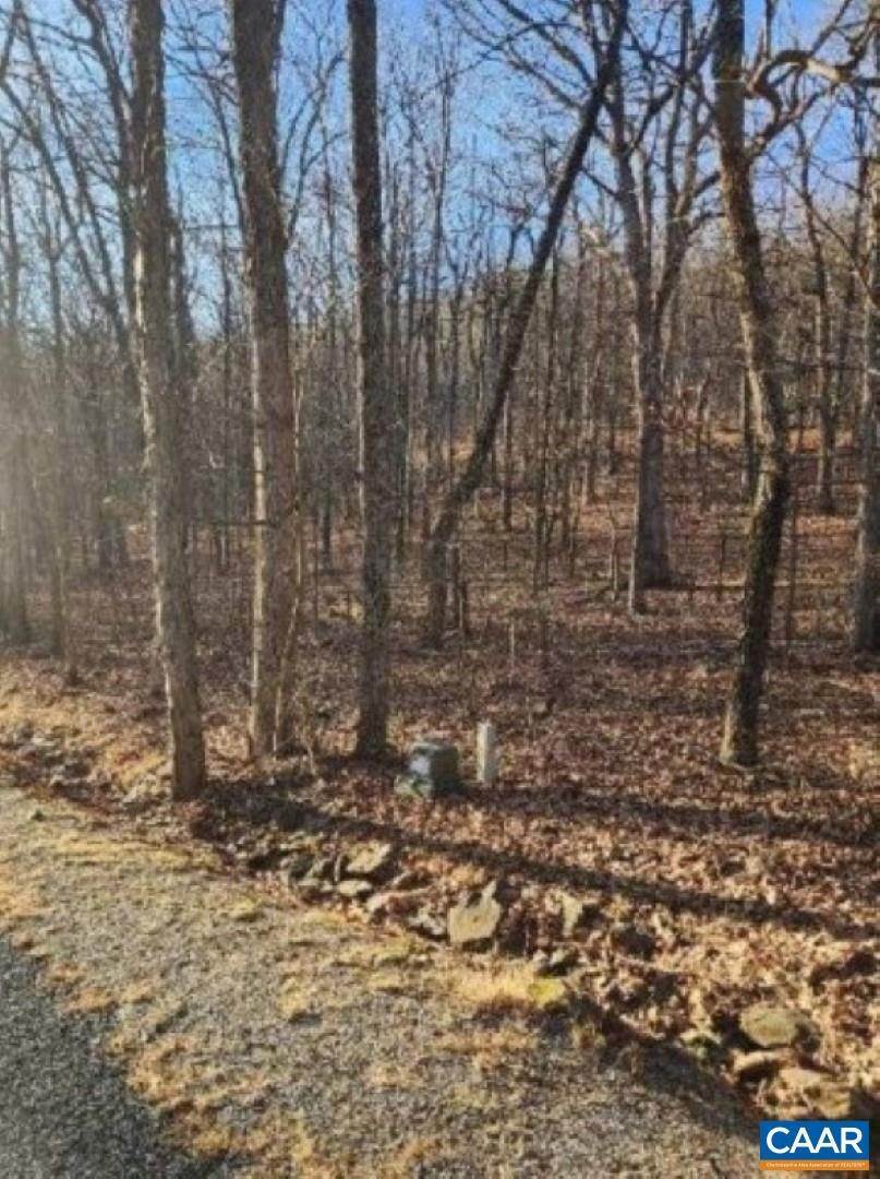 3. Land for Sale at Lot 93 GUMTREE Drive Roseland, Virginia 22967 United States