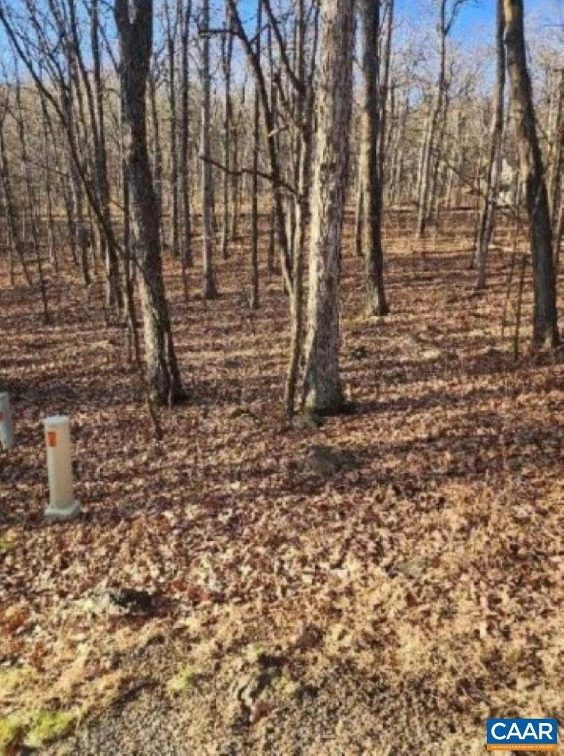 6. Land for Sale at Lot 93 GUMTREE Drive Roseland, Virginia 22967 United States