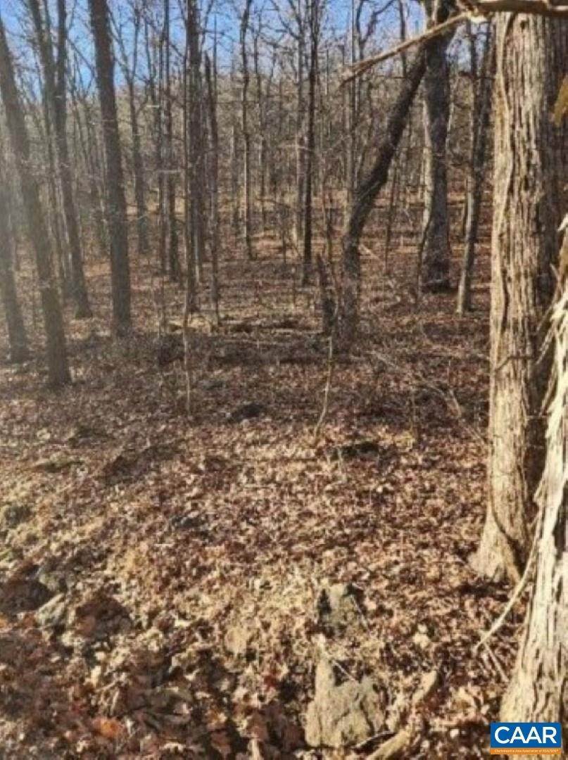 9. Land for Sale at Lot 93 GUMTREE Drive Roseland, Virginia 22967 United States