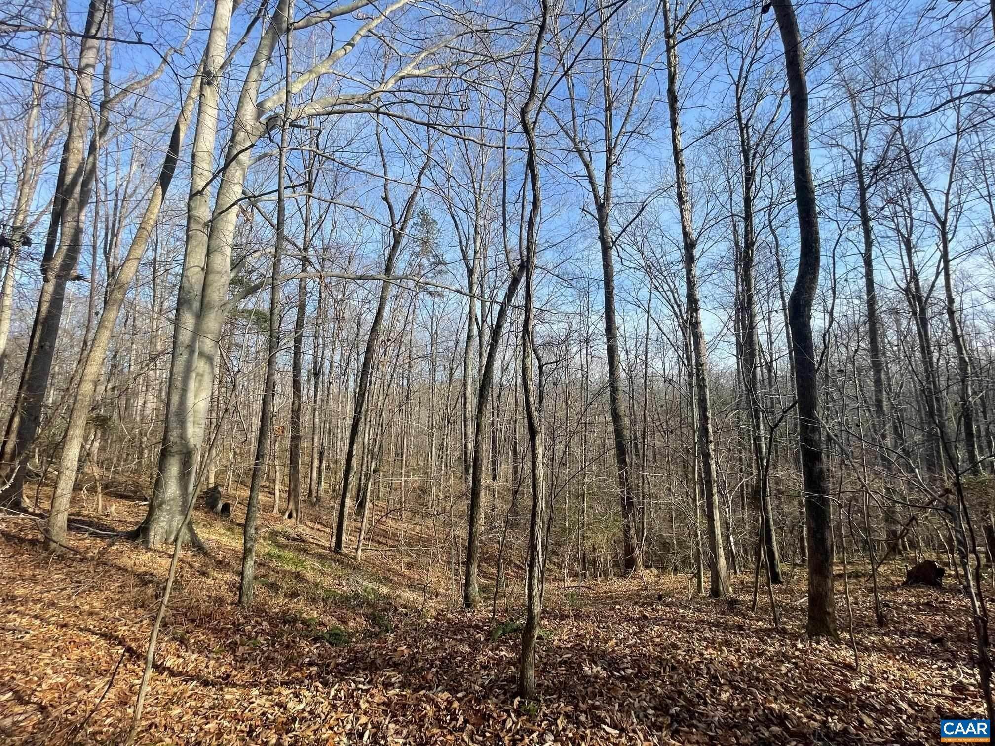 1. Land for Sale at TBD SAGE Court Earlysville, Virginia 22936 United States
