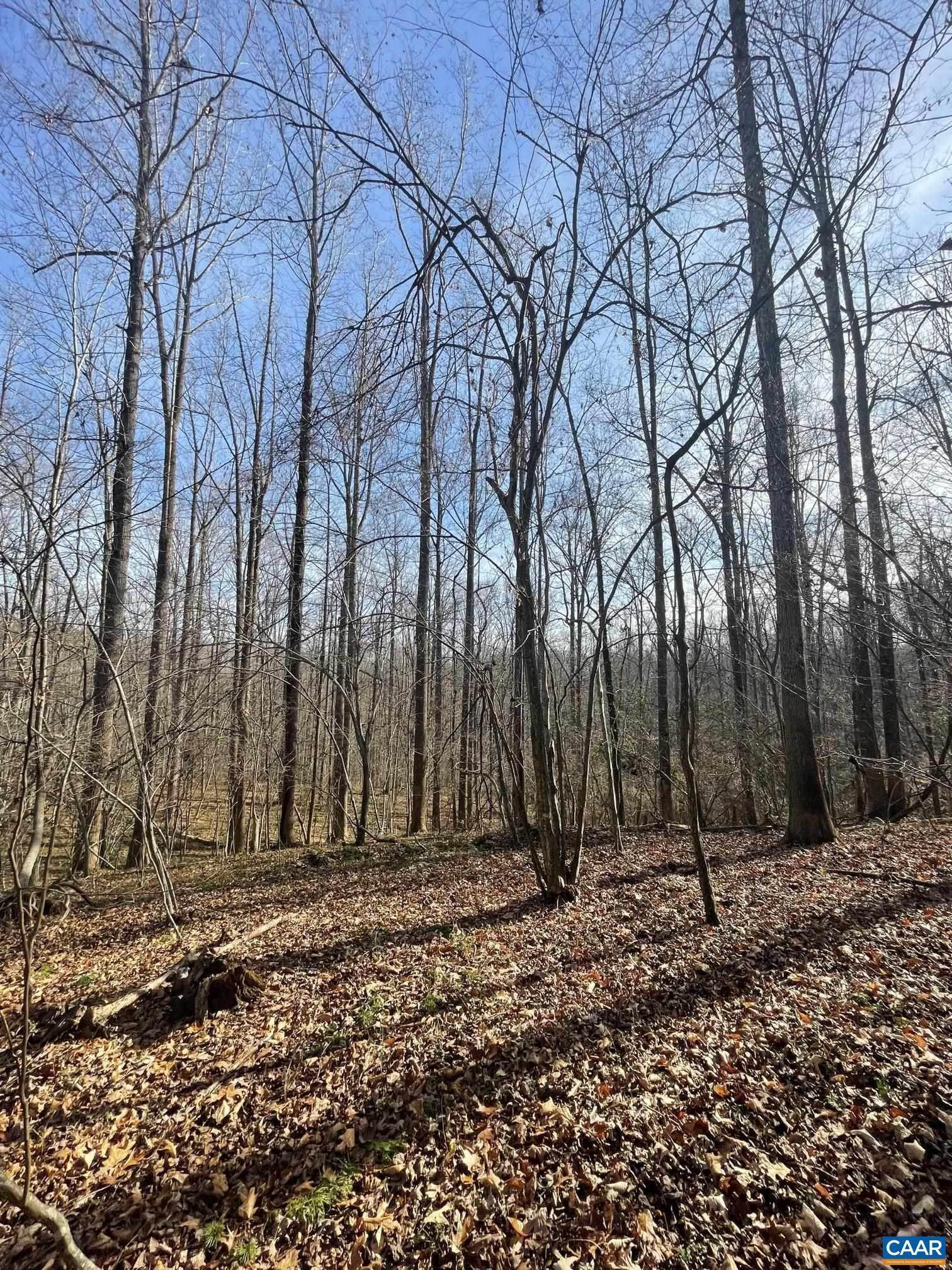 6. Land for Sale at TBD SAGE Court Earlysville, Virginia 22936 United States