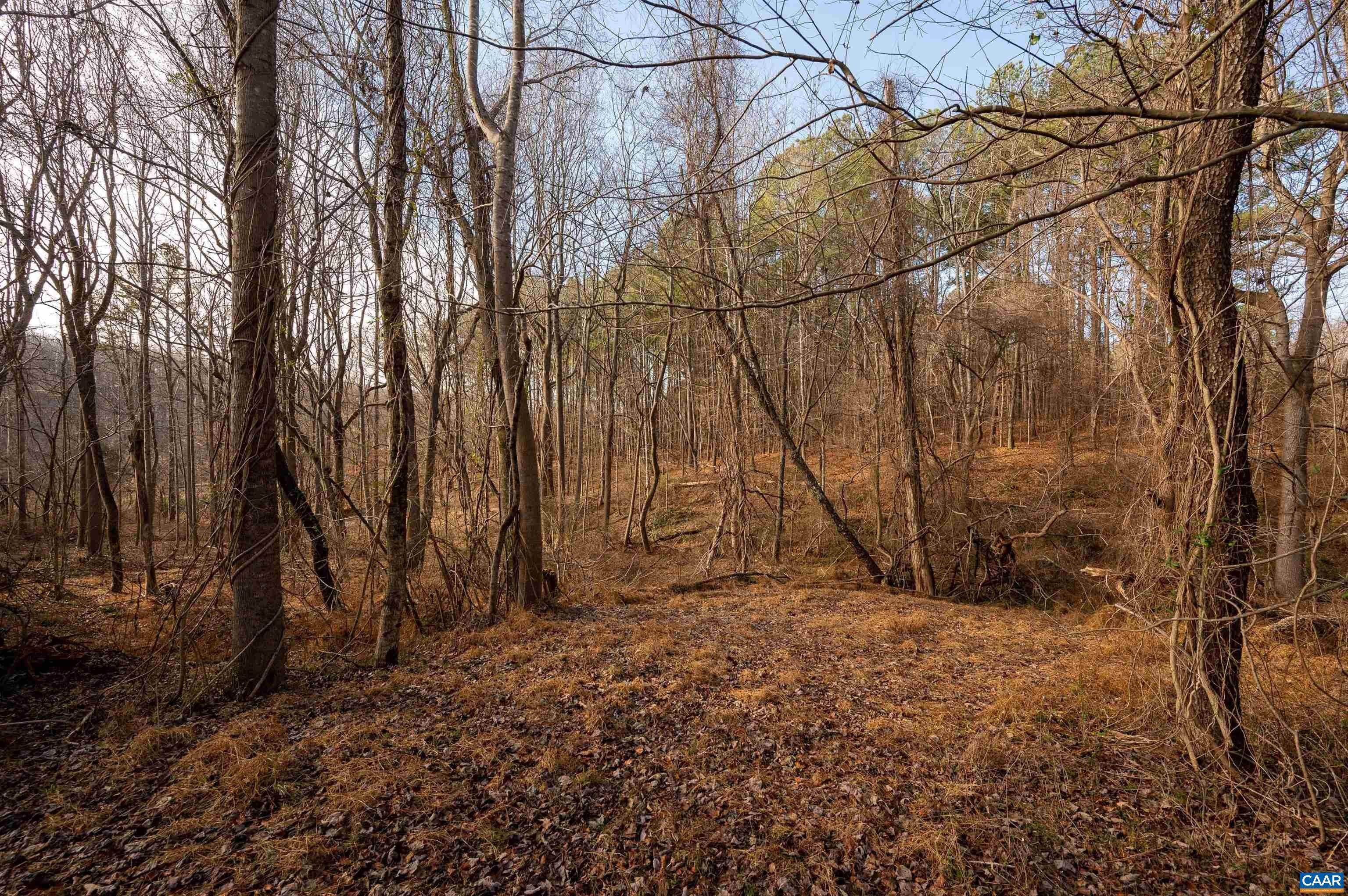 13. Land for Sale at Lot A GRASSMERE Road Charlottesville, Virginia 22903 United States