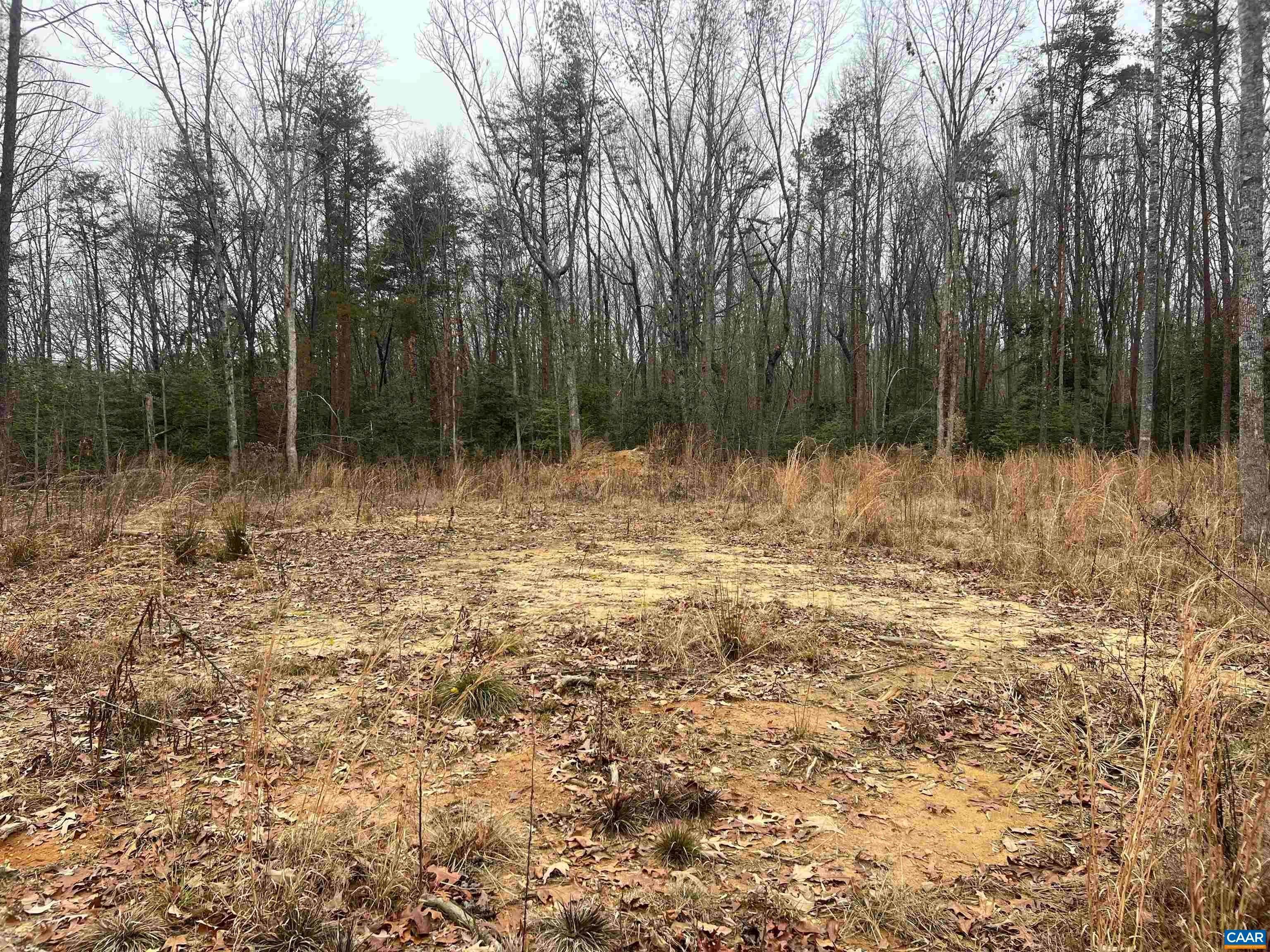 3. Land for Sale at CEDAR BLUFF Louisa, Virginia 23093 United States