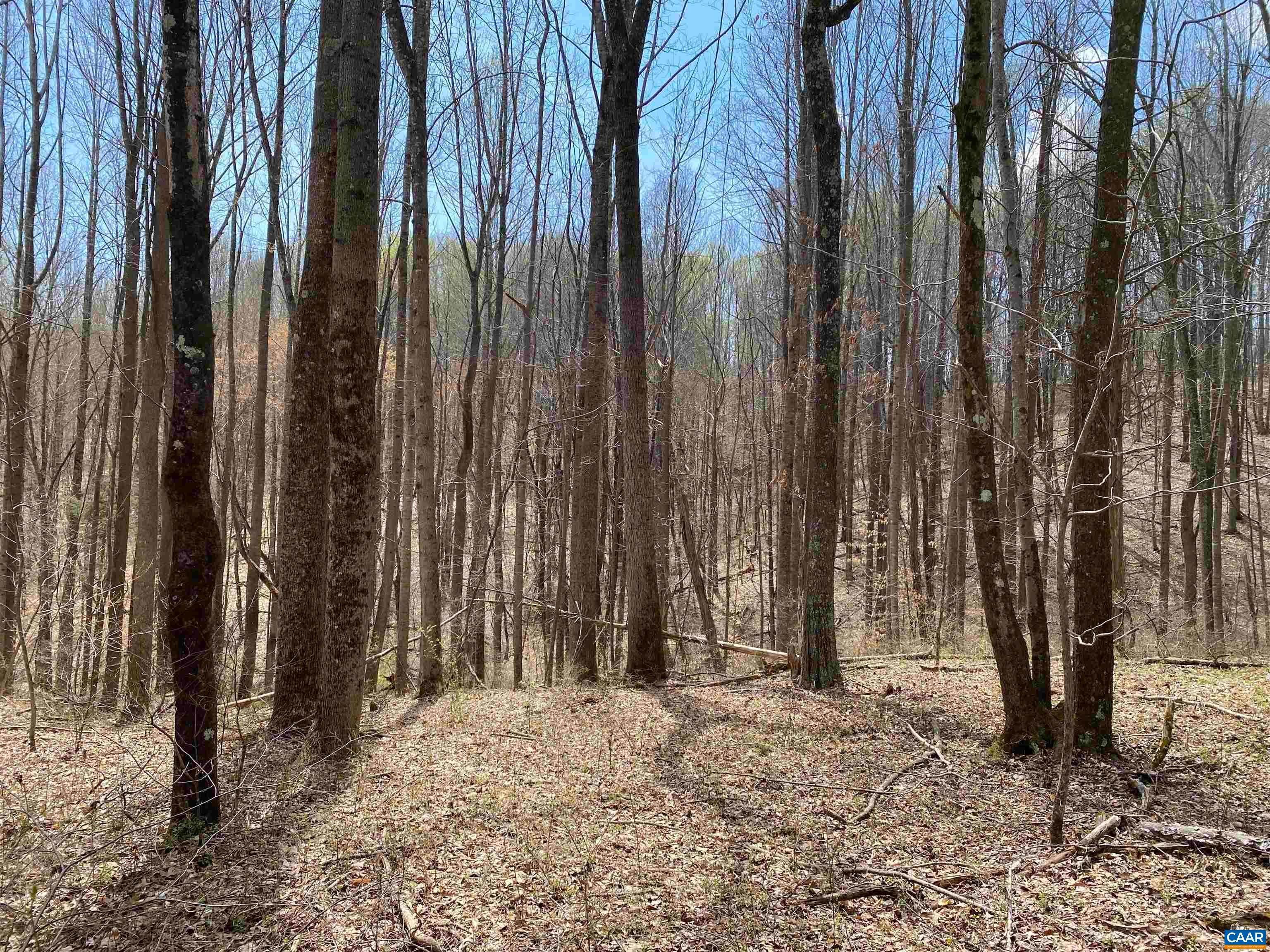 11. Land for Sale at ROSES MILL Road Amherst, Virginia 24521 United States