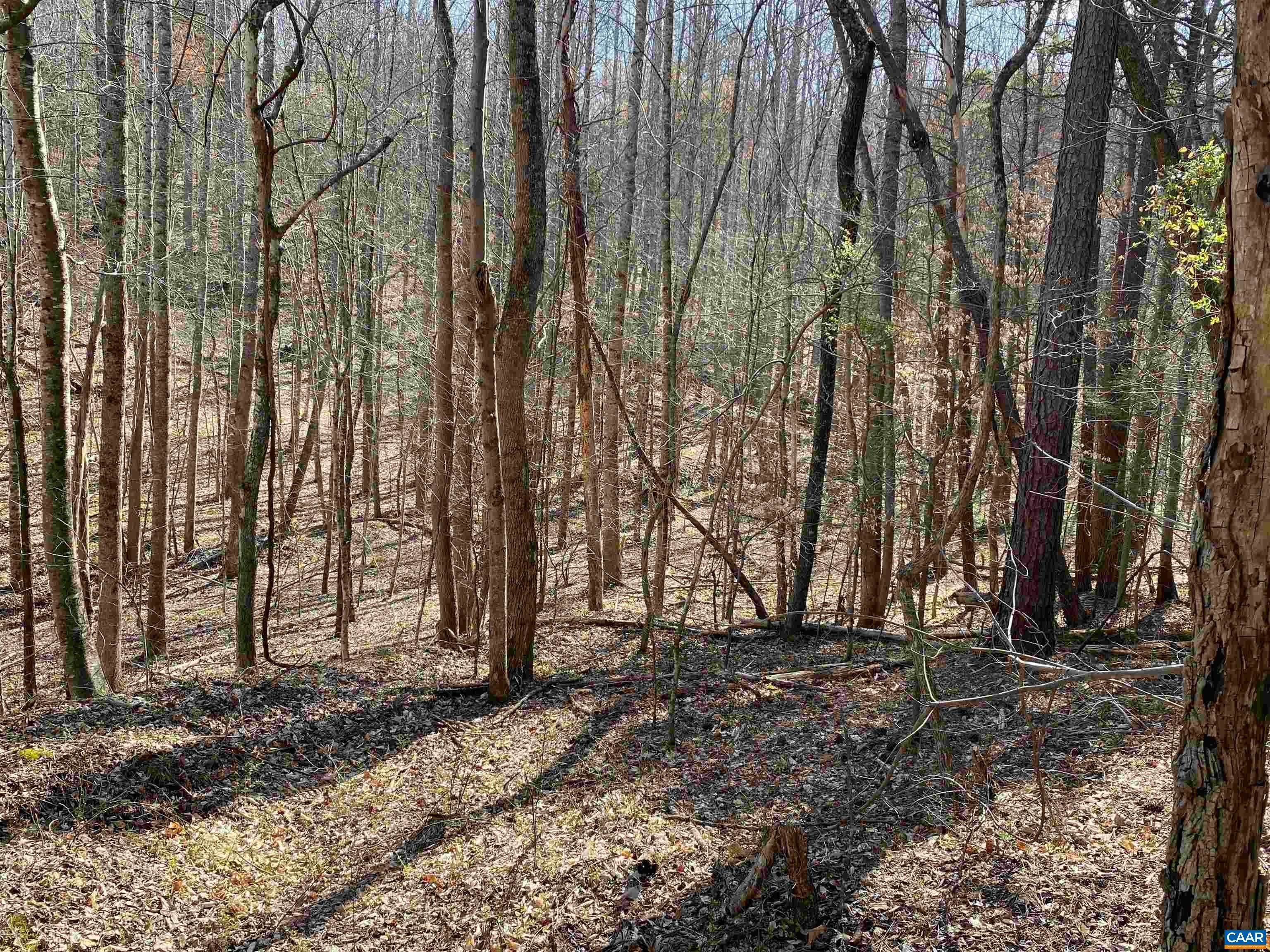 15. Land for Sale at ROSES MILL Road Amherst, Virginia 24521 United States