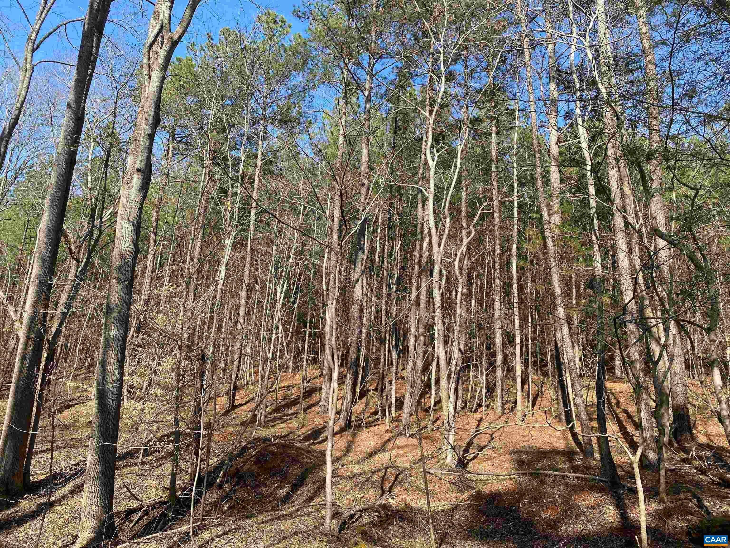 17. Land for Sale at ROSES MILL Road Amherst, Virginia 24521 United States