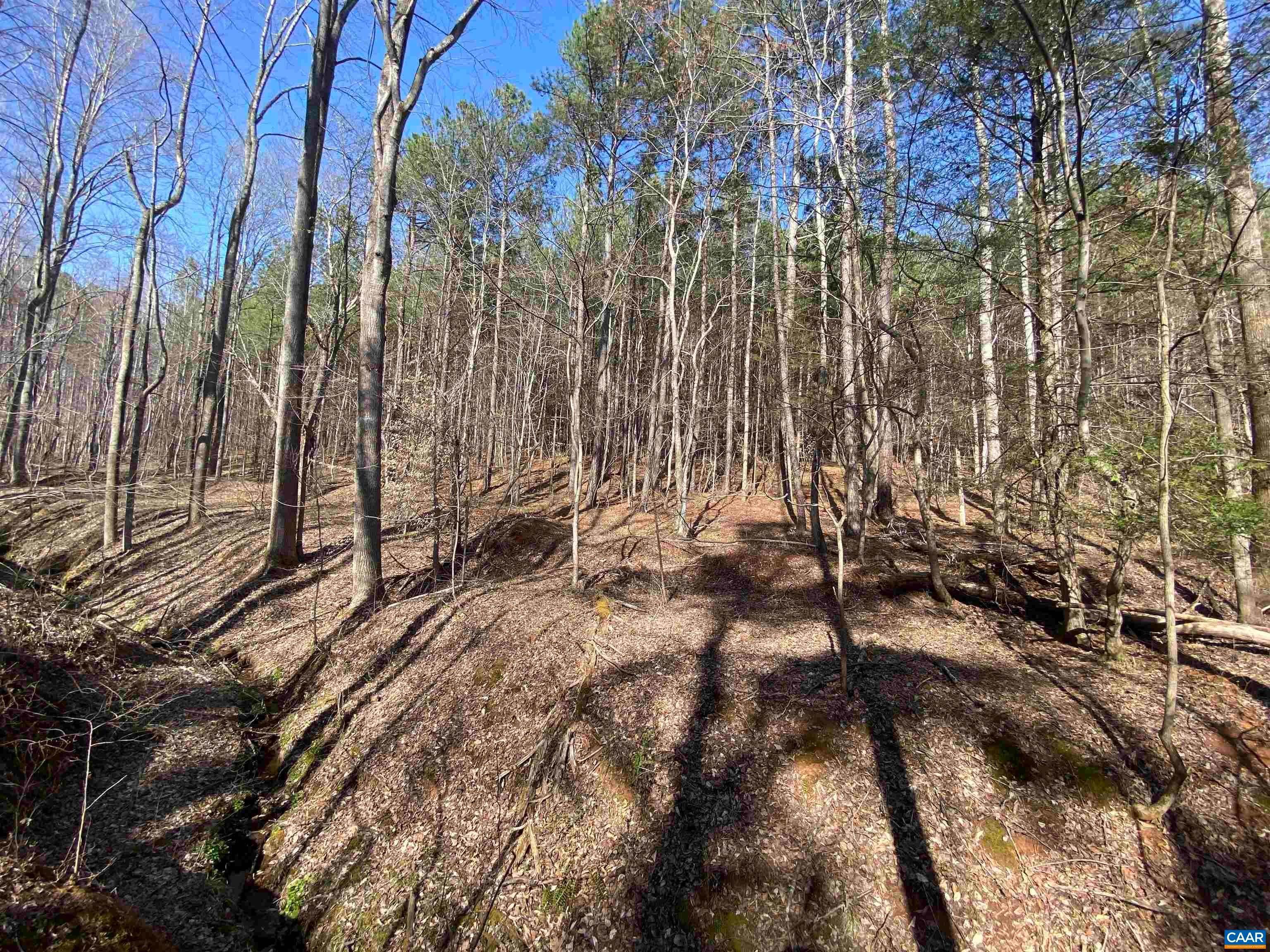 28. Land for Sale at ROSES MILL Road Amherst, Virginia 24521 United States