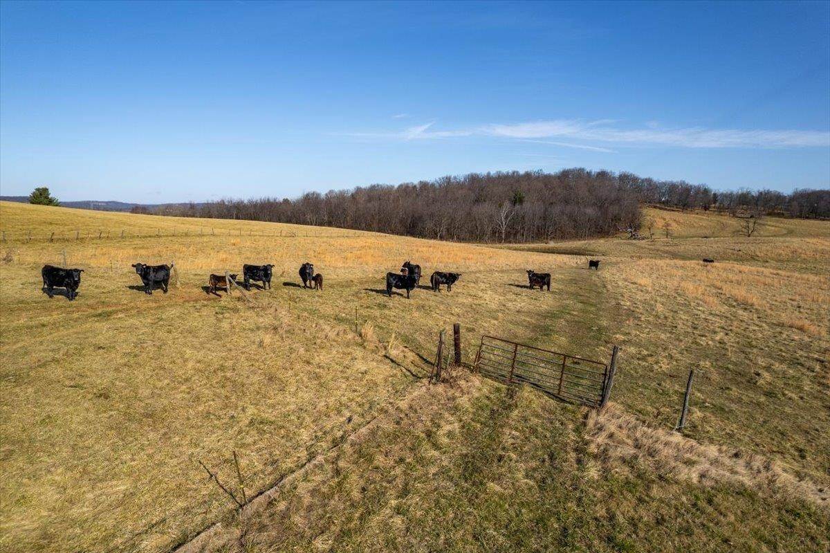 11. Land for Sale at TBD OLD WHITE HILL Road Stuarts Draft, Virginia 24477 United States