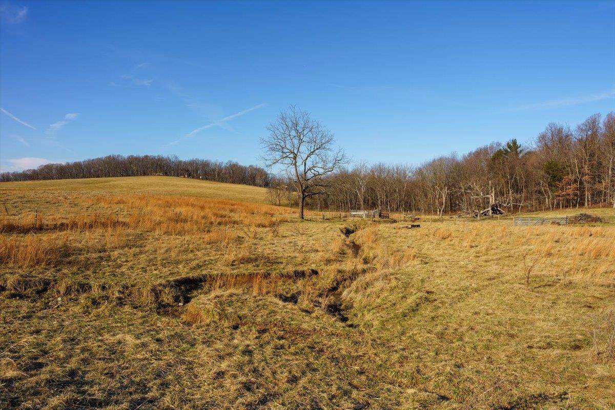 17. Land for Sale at TBD OLD WHITE HILL Road Stuarts Draft, Virginia 24477 United States