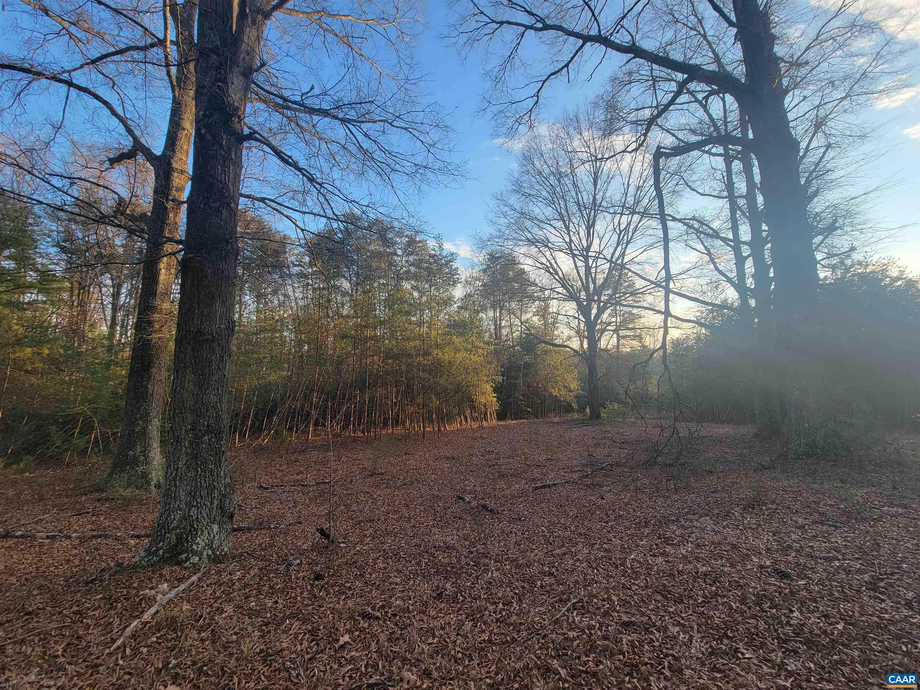 3. Land for Sale at 2572 MARCHIA Lane Charlottesville, Virginia 22902 United States