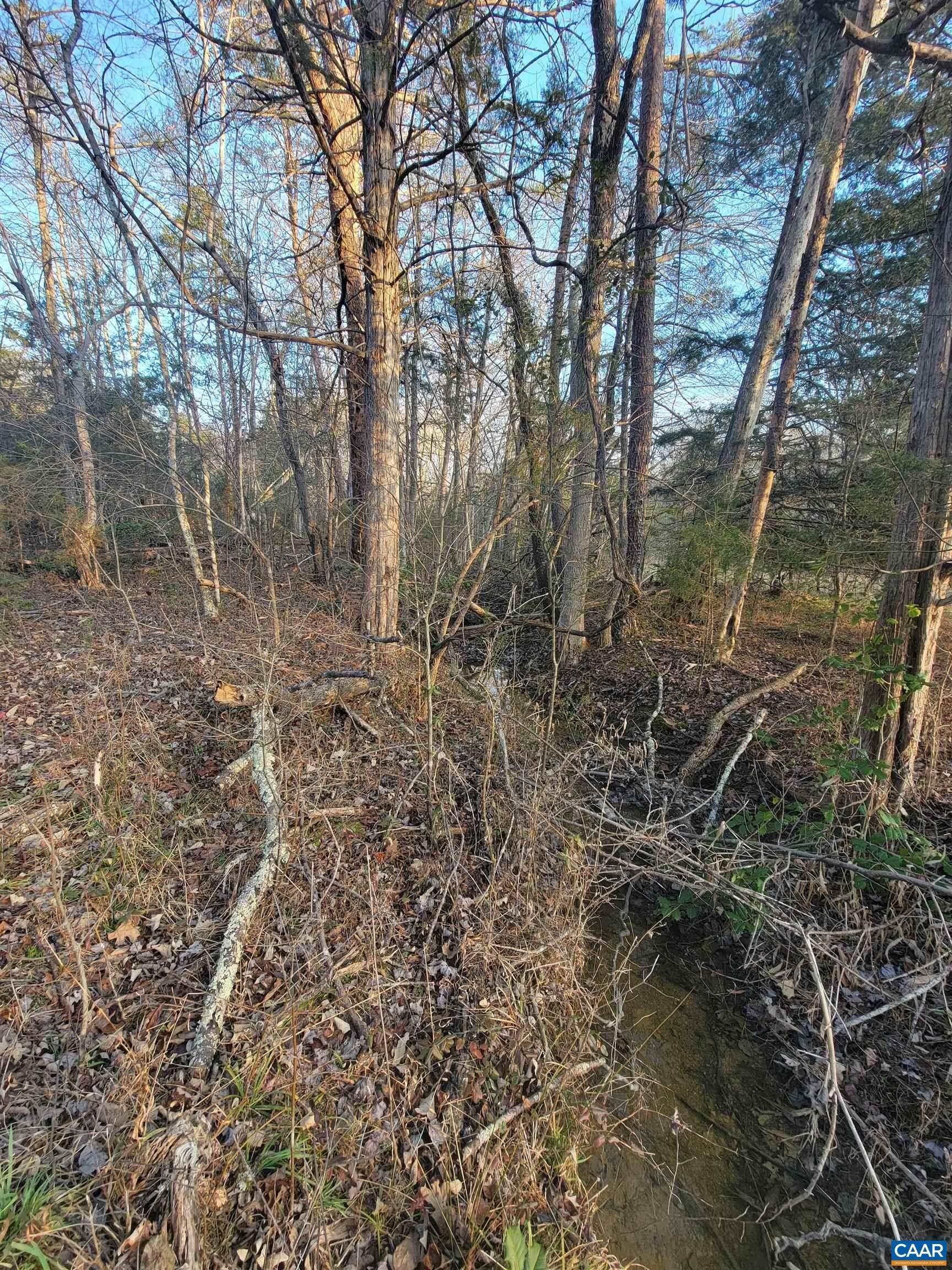 8. Land for Sale at 2572 MARCHIA Lane Charlottesville, Virginia 22902 United States