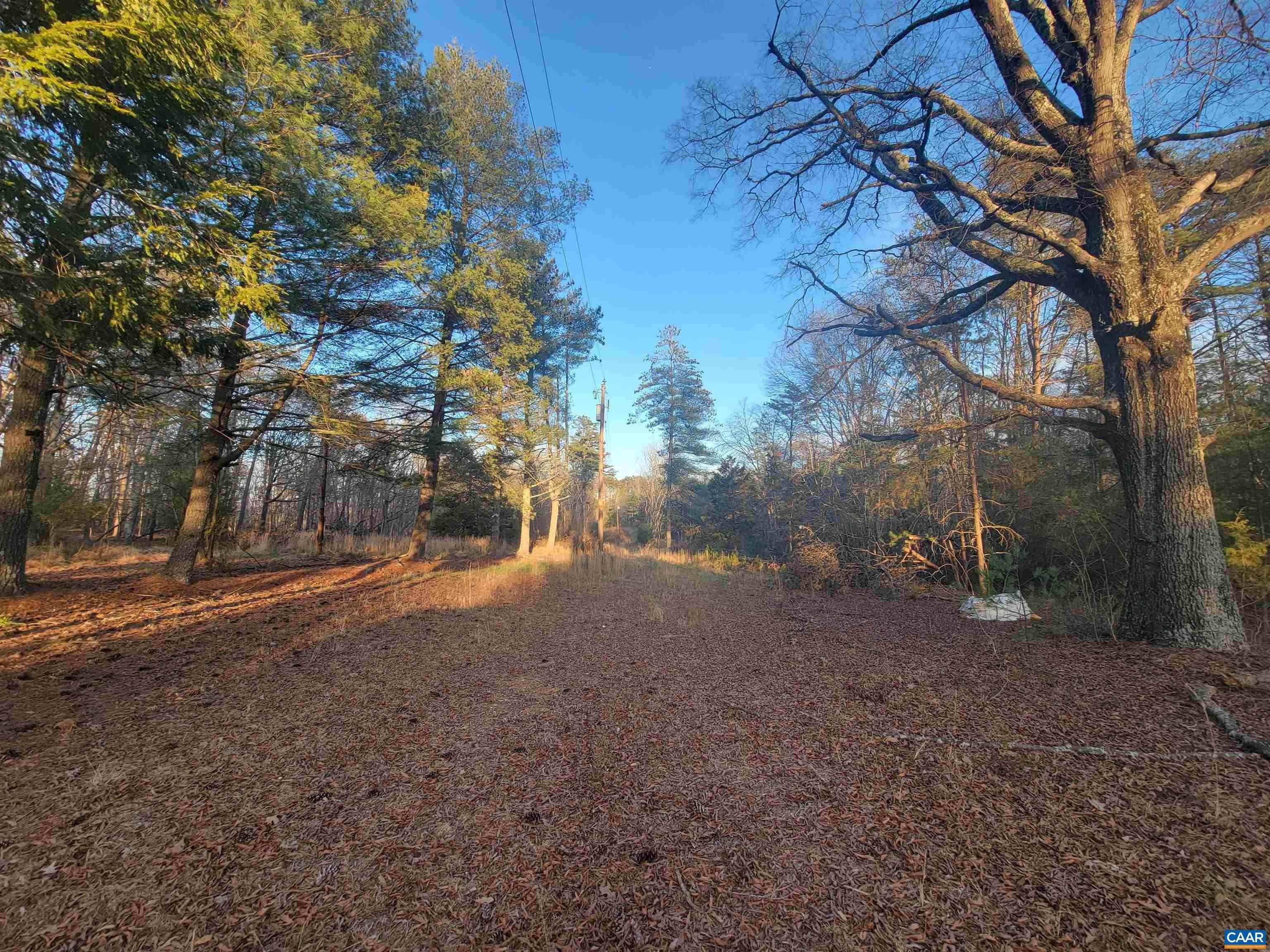 4. Land for Sale at MARCHIA Lane Charlottesville, Virginia 22902 United States
