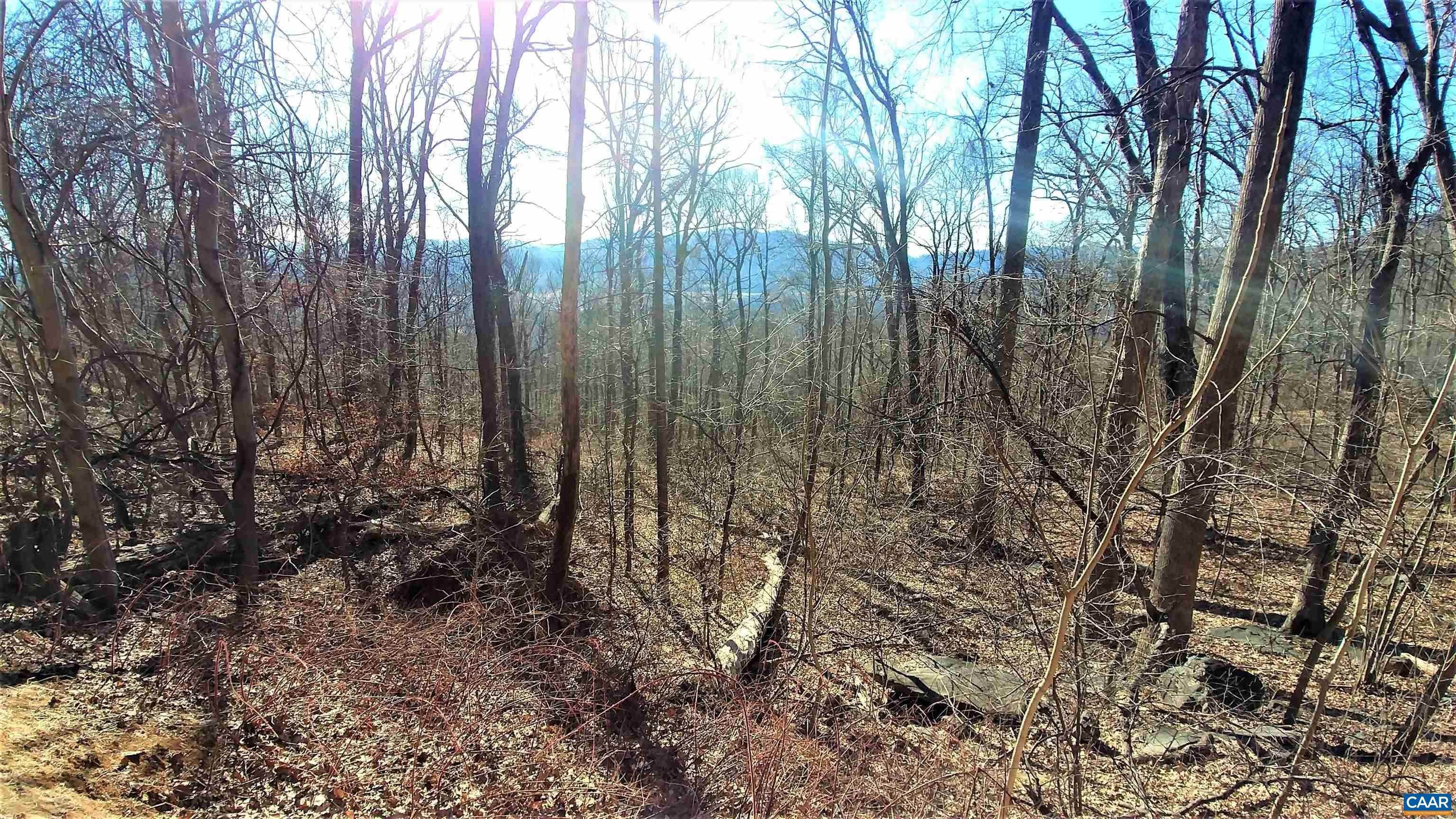Land for Sale at 29 VALLEYMONT Lane Nellysford, Virginia 22958 United States