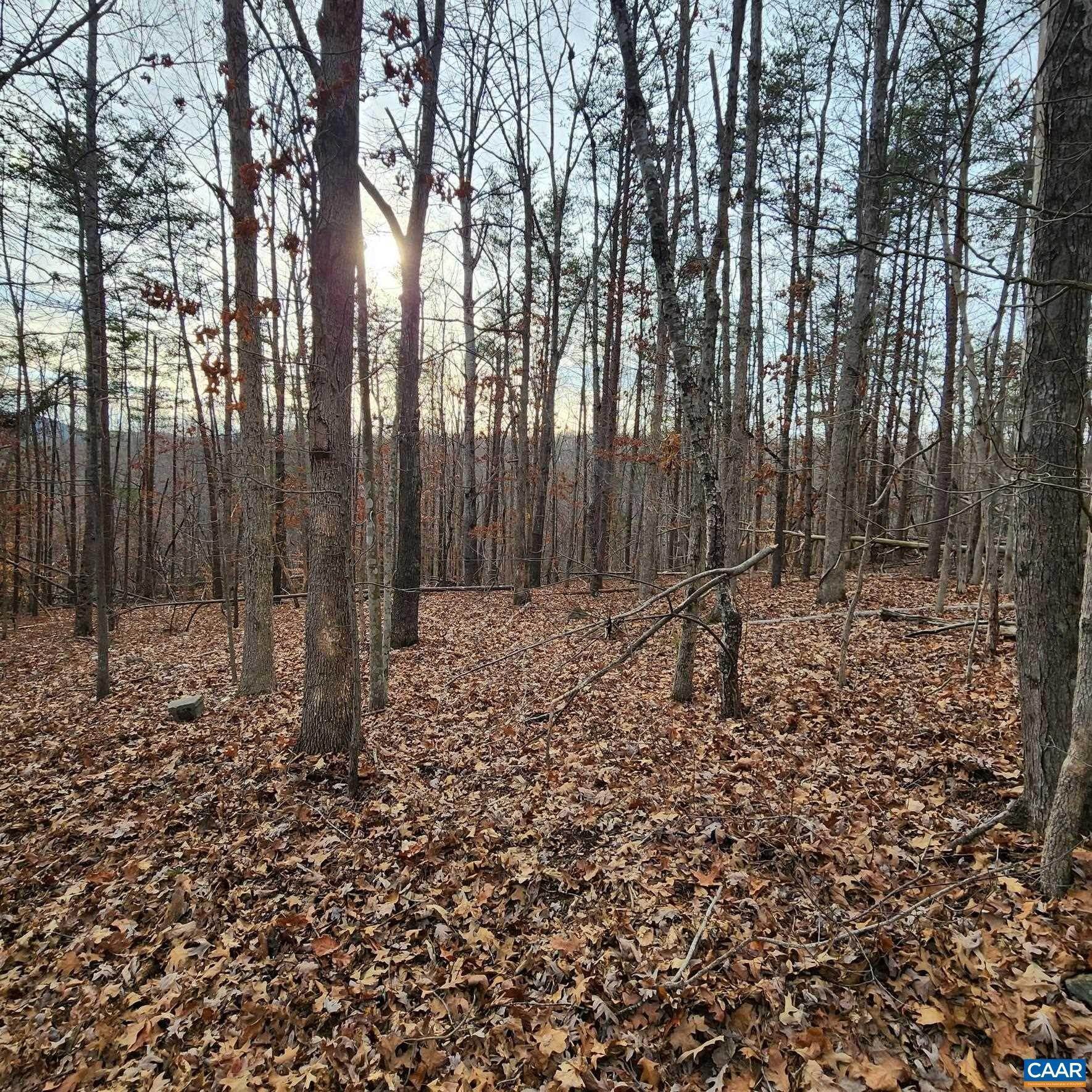 19. Land for Sale at OLD LYNCHBURG Road North Garden, Virginia 22959 United States