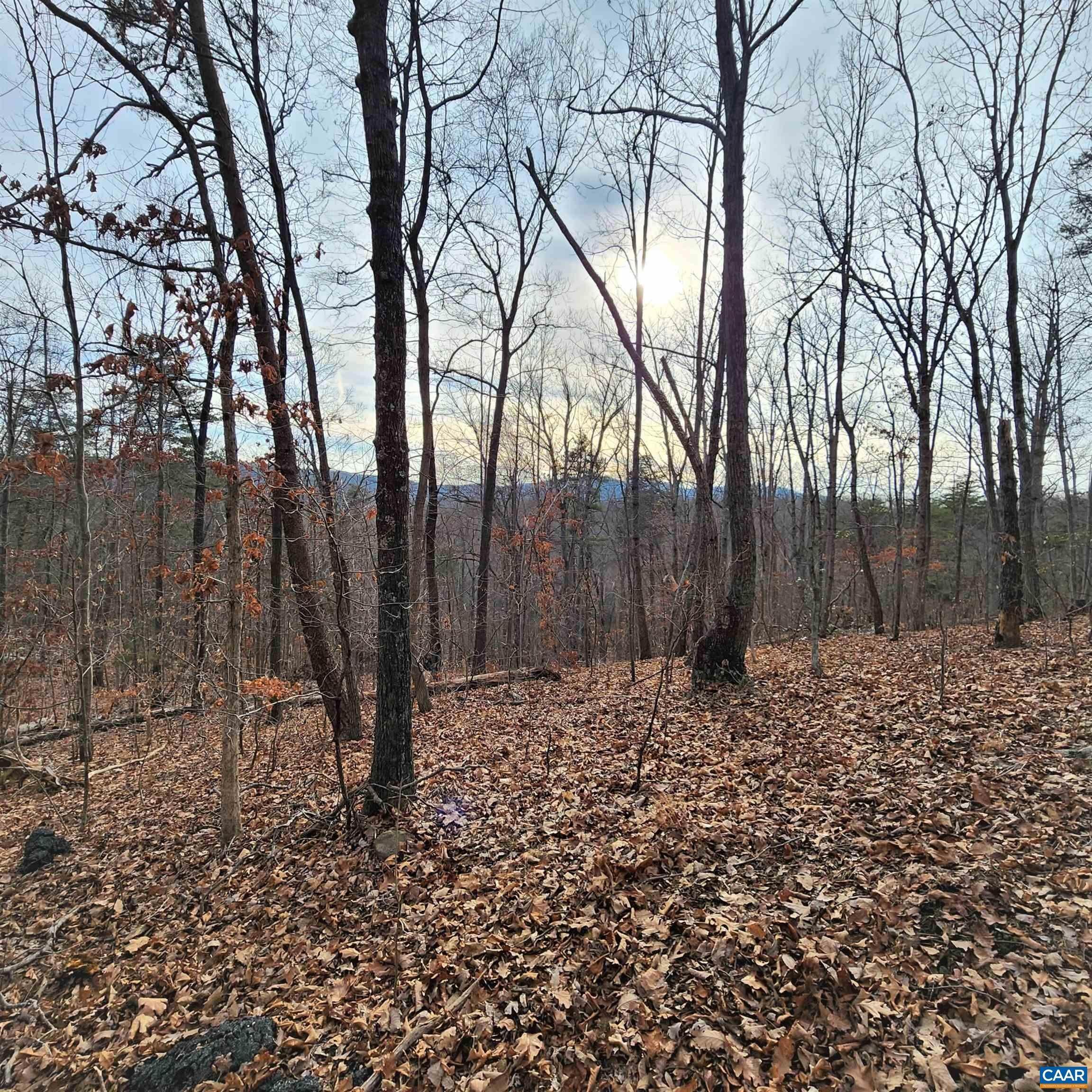 8. Land for Sale at OLD LYNCHBURG Road North Garden, Virginia 22959 United States