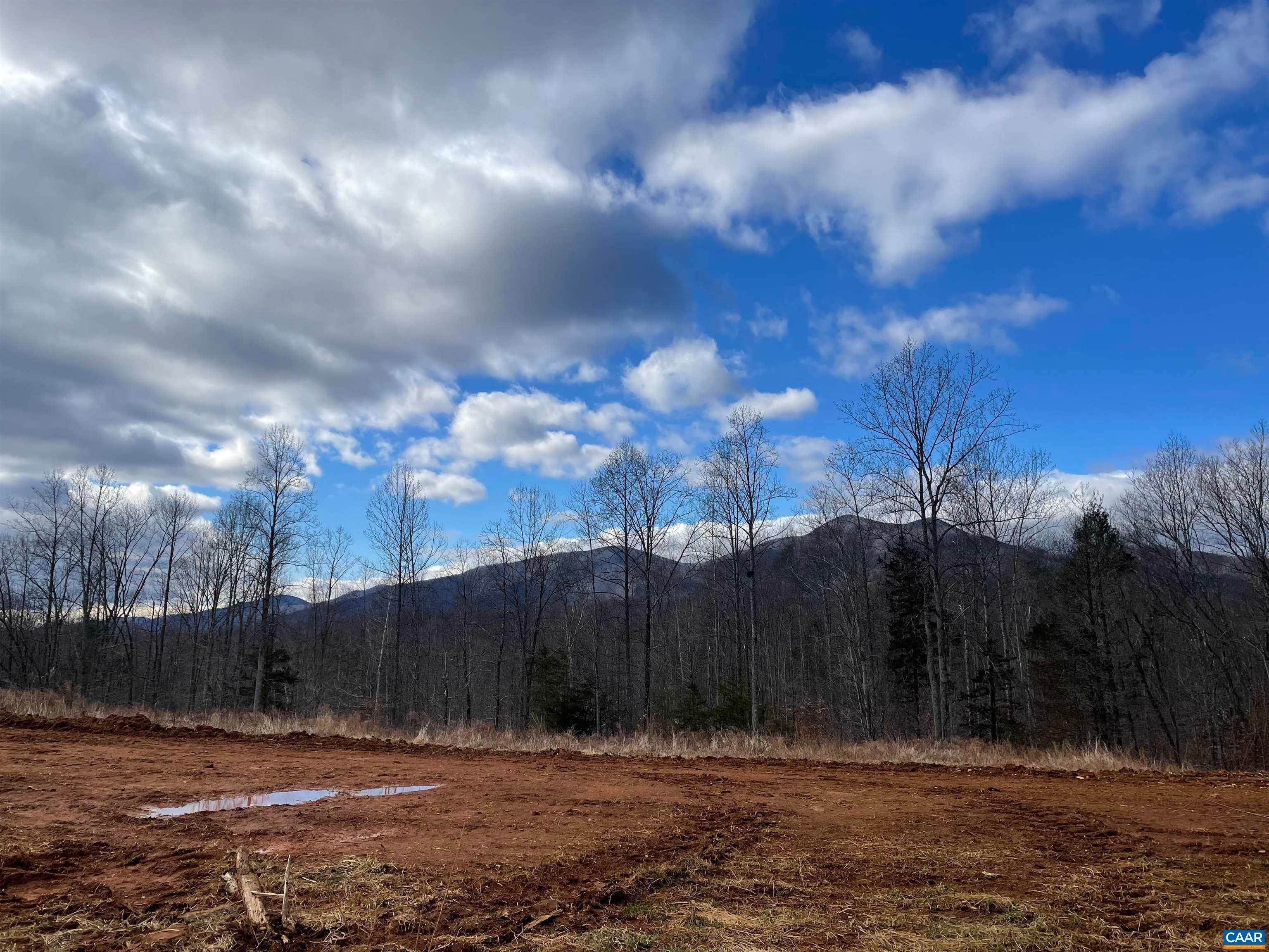 17. Land for Sale at TBD CUB CREEK Road Roseland, Virginia 22967 United States