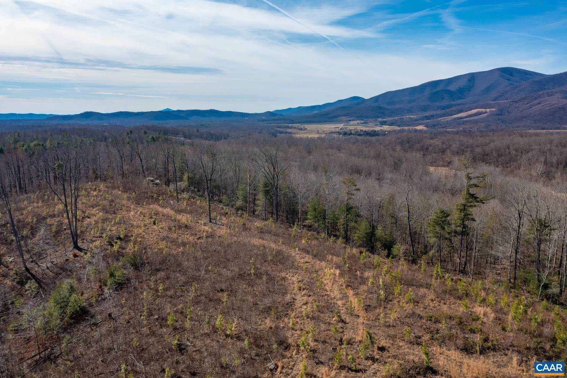 22. Land for Sale at TBD CUB CREEK Road Roseland, Virginia 22967 United States