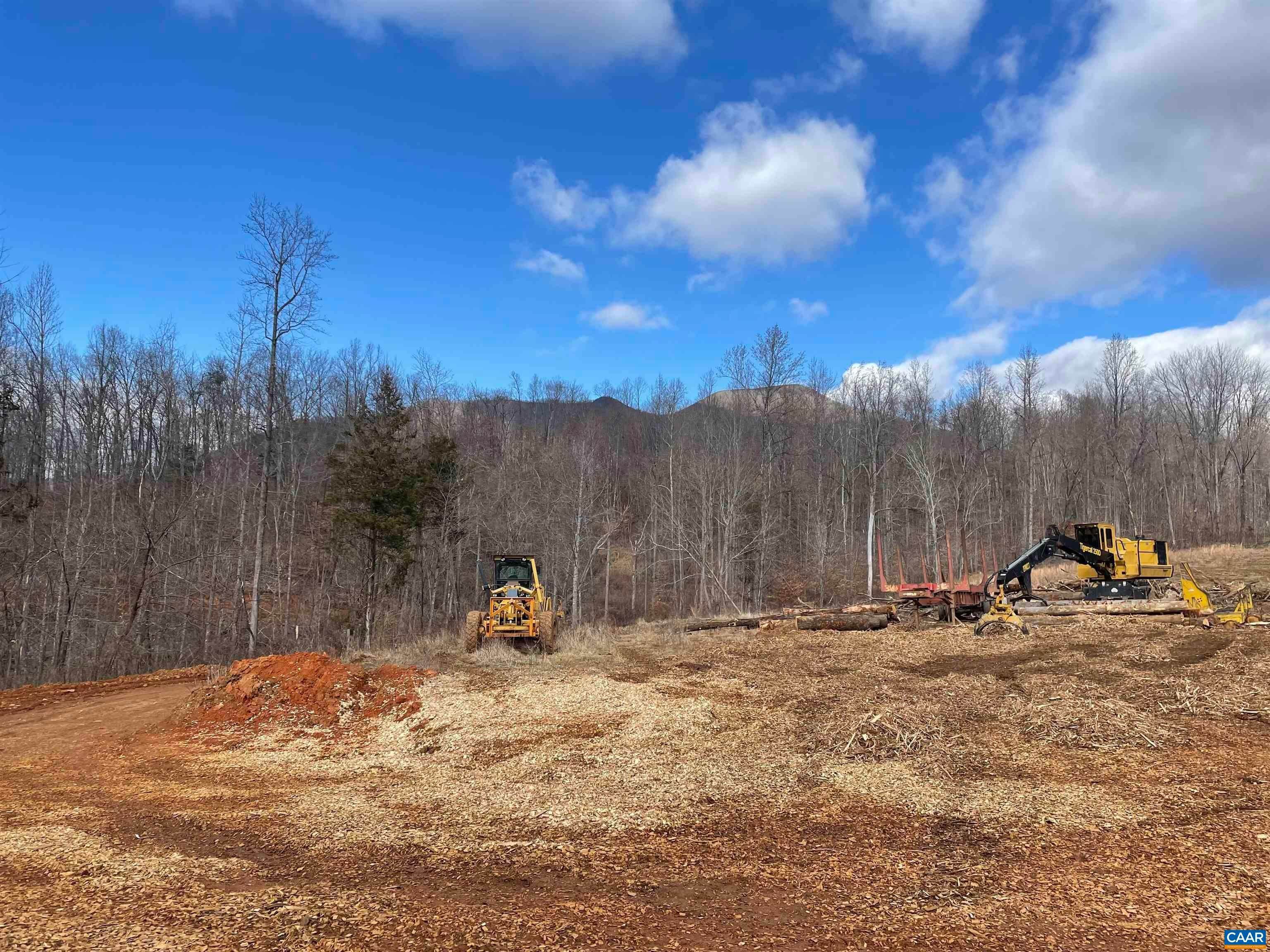 30. Land for Sale at TBD CUB CREEK Road Roseland, Virginia 22967 United States