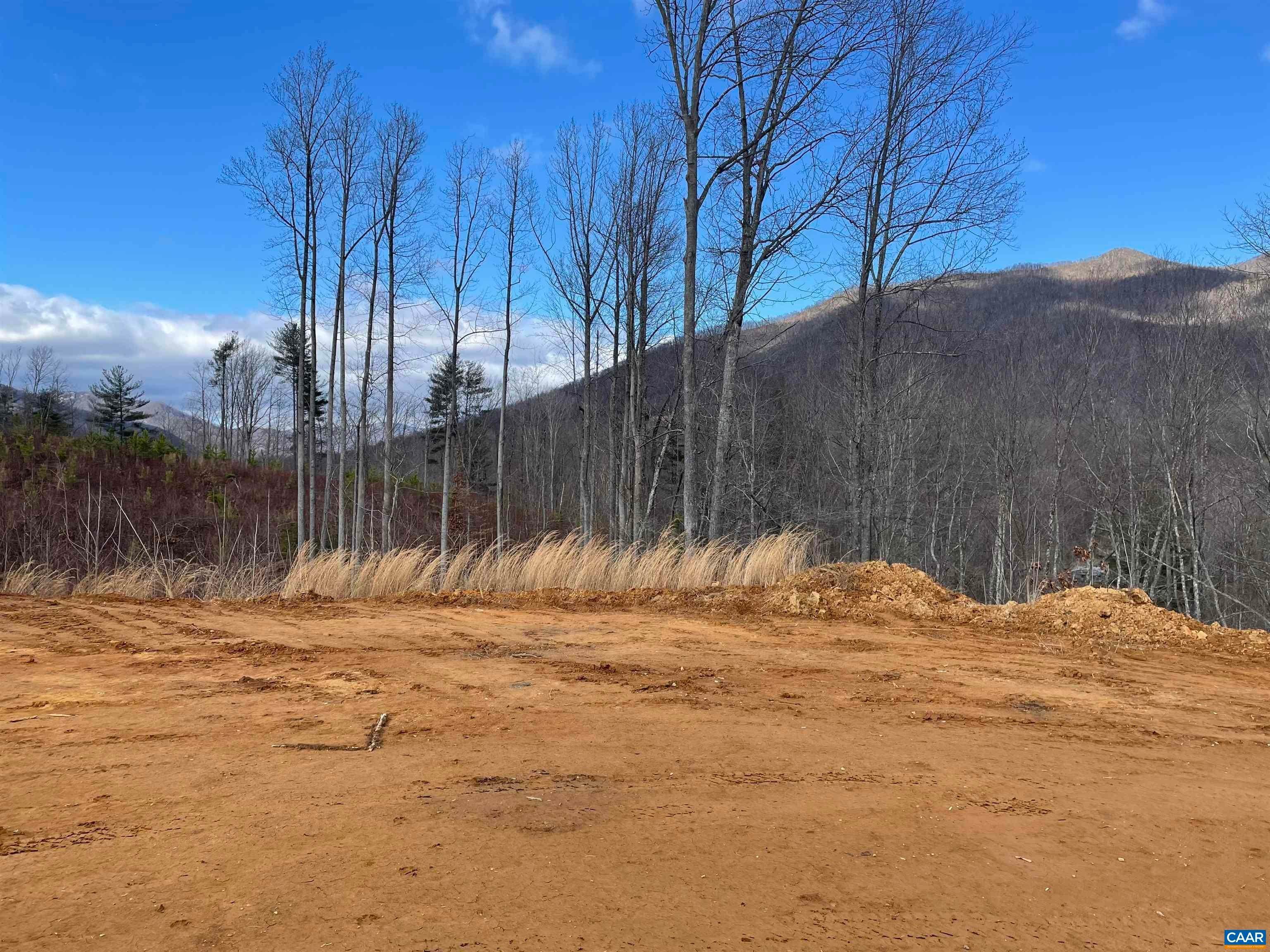 31. Land for Sale at TBD CUB CREEK Road Roseland, Virginia 22967 United States