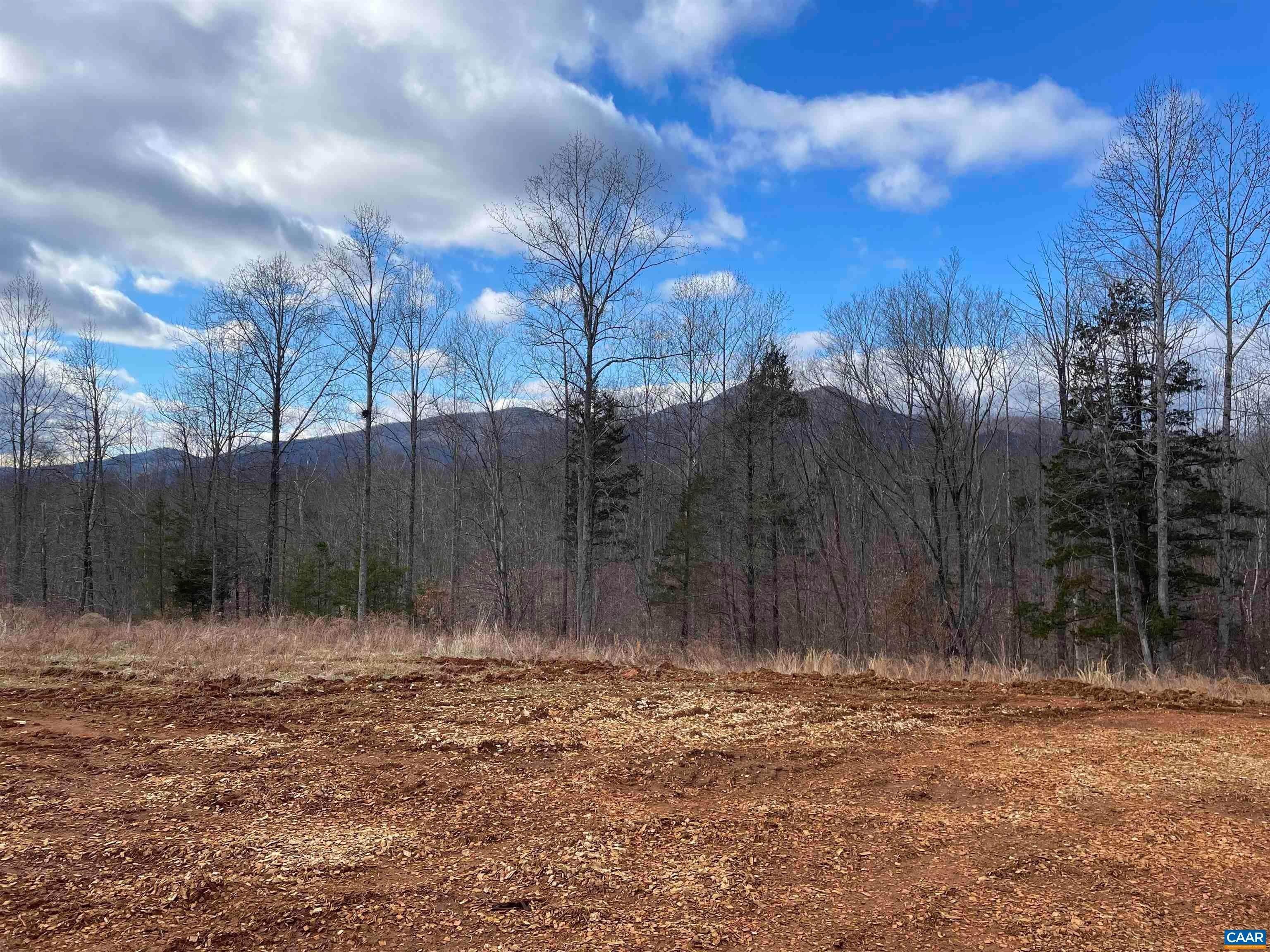 8. Land for Sale at TBD CUB CREEK Road Roseland, Virginia 22967 United States
