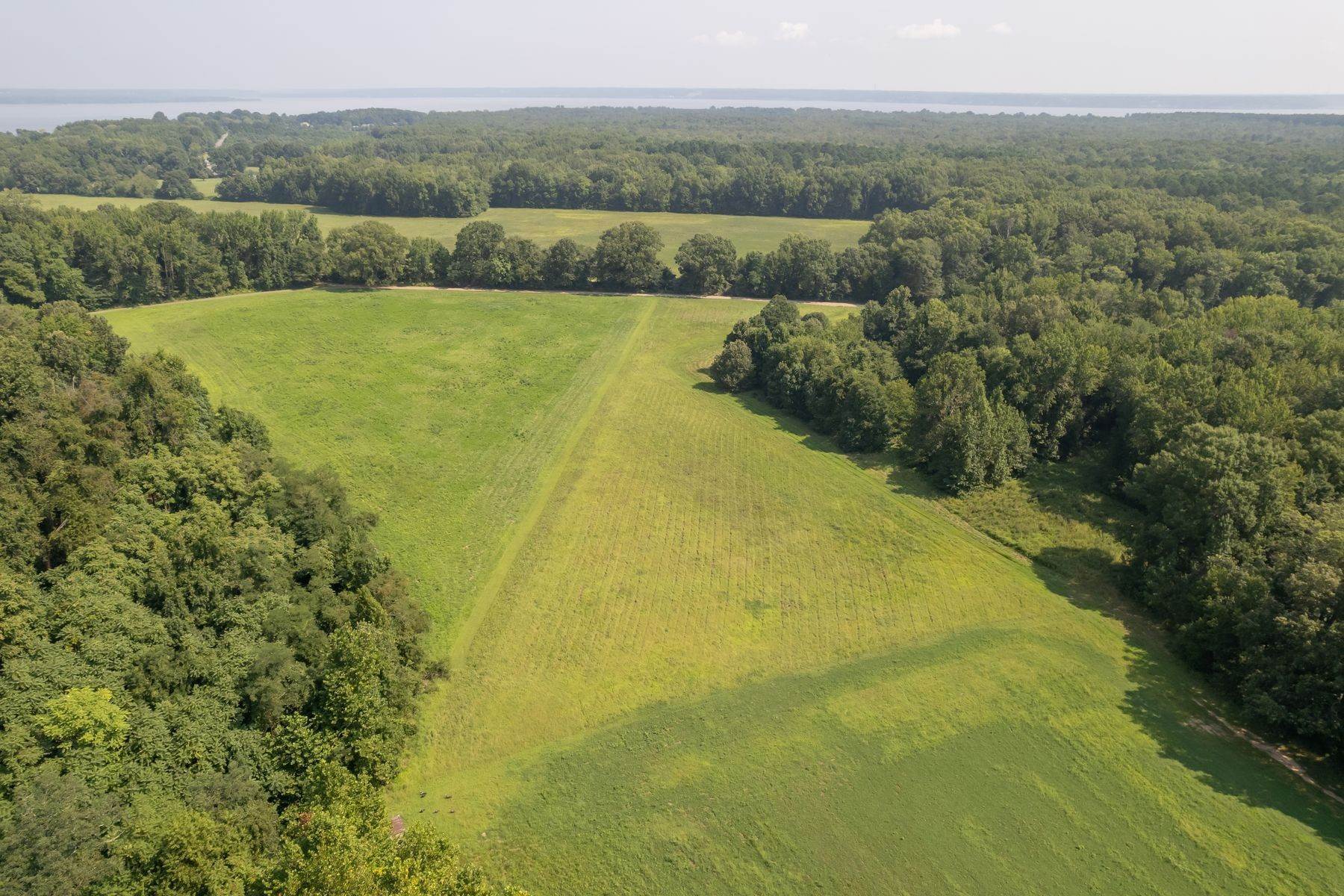 25. Farm and Ranch Properties for Sale at Liberty Farm 16212 Liberty rd King George, Virginia 22485 United States
