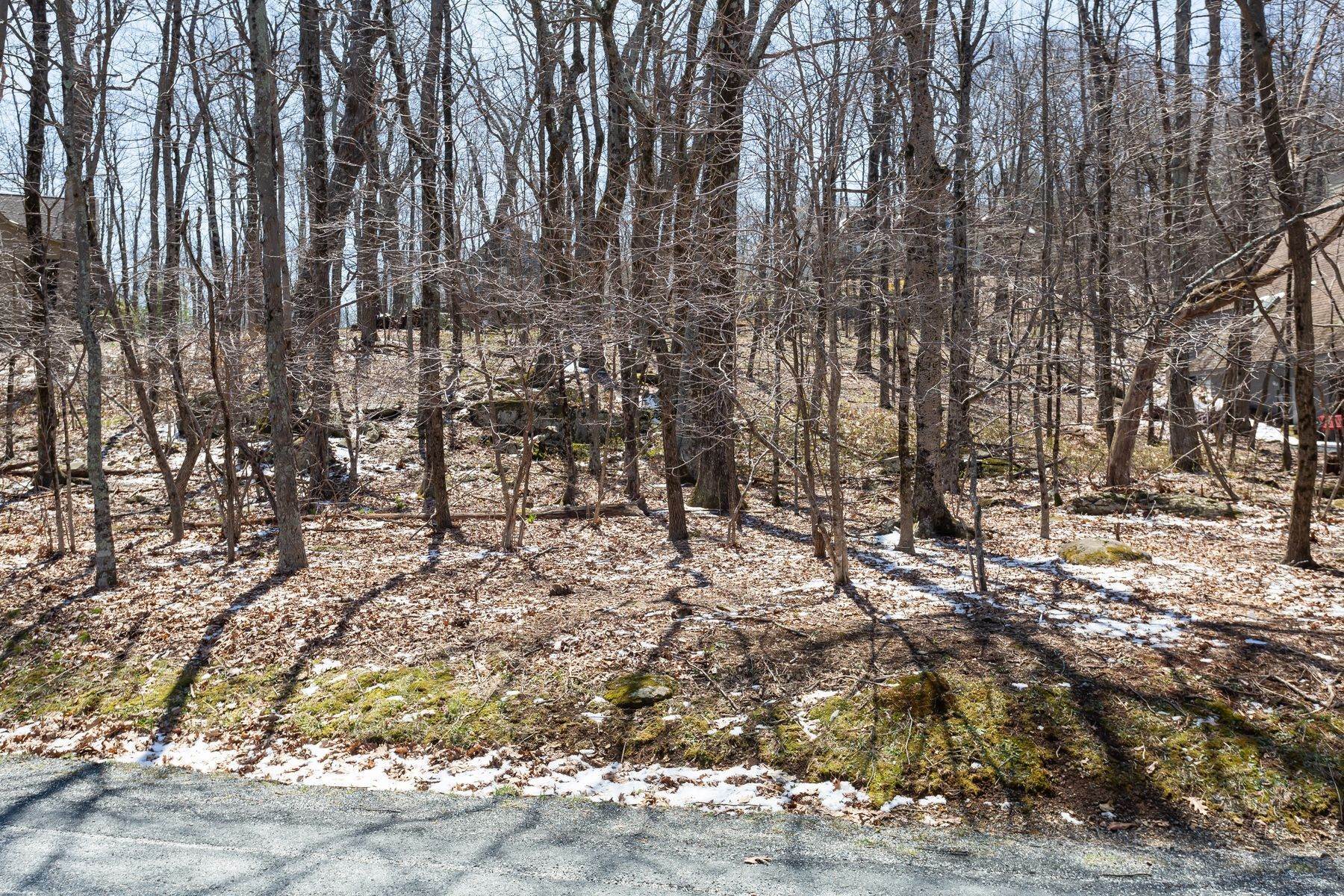 3. Land for Sale at 41 Hickory Spring Rd Roseland, Virginia 22967 United States